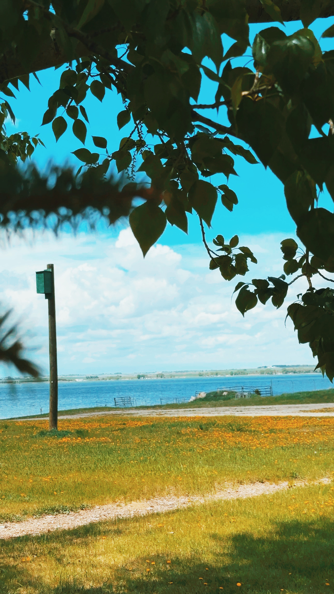 Wheatland Shores Campground