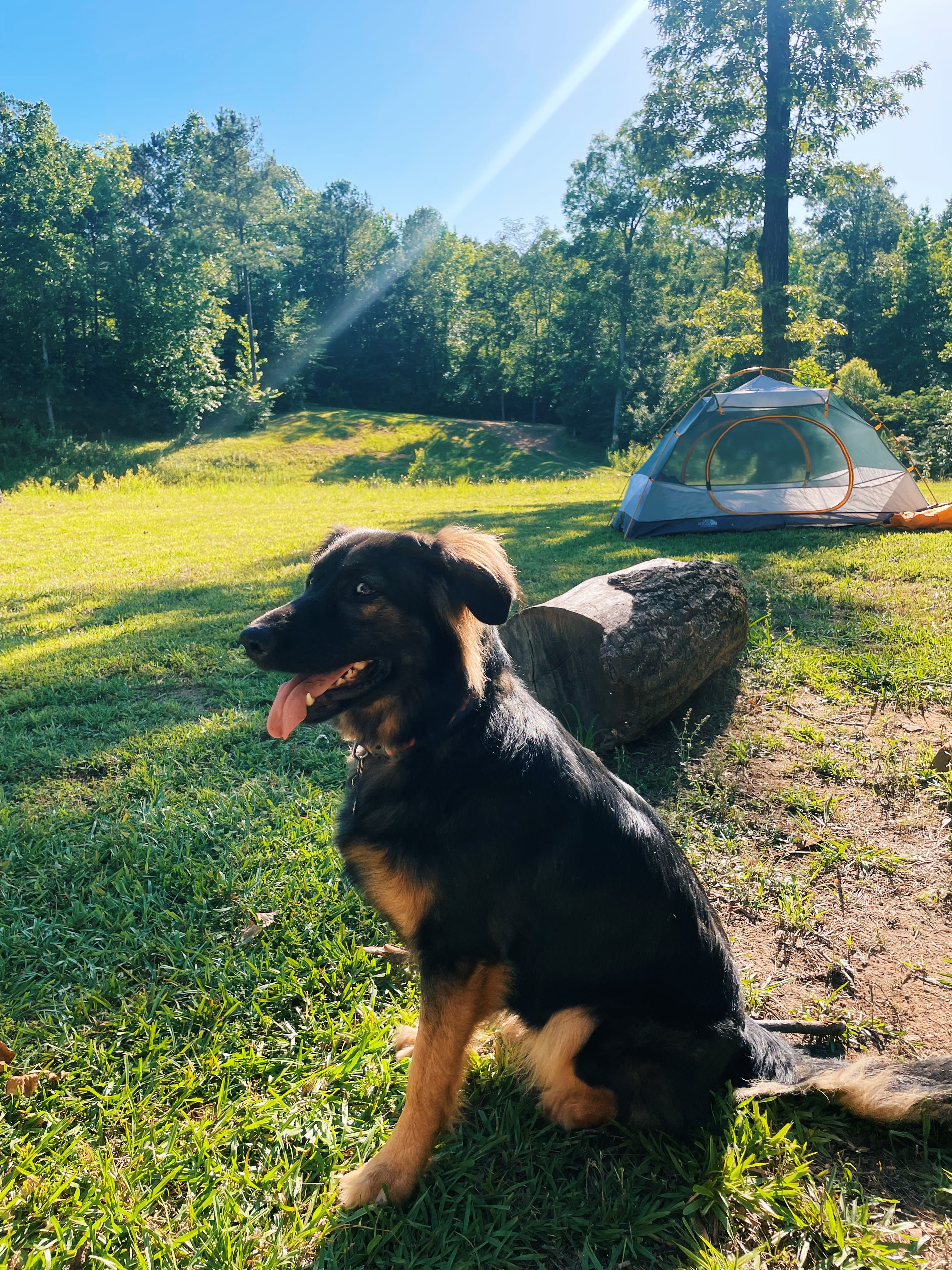 Argo’s Park & Trails