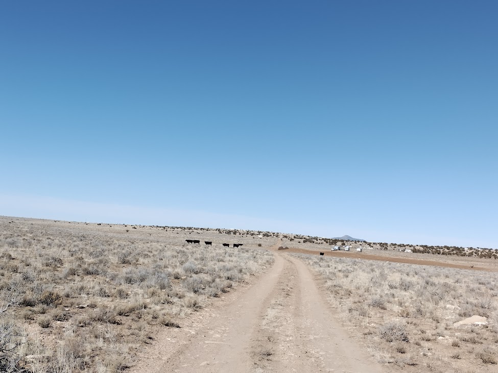 Close to Town - Private Lot