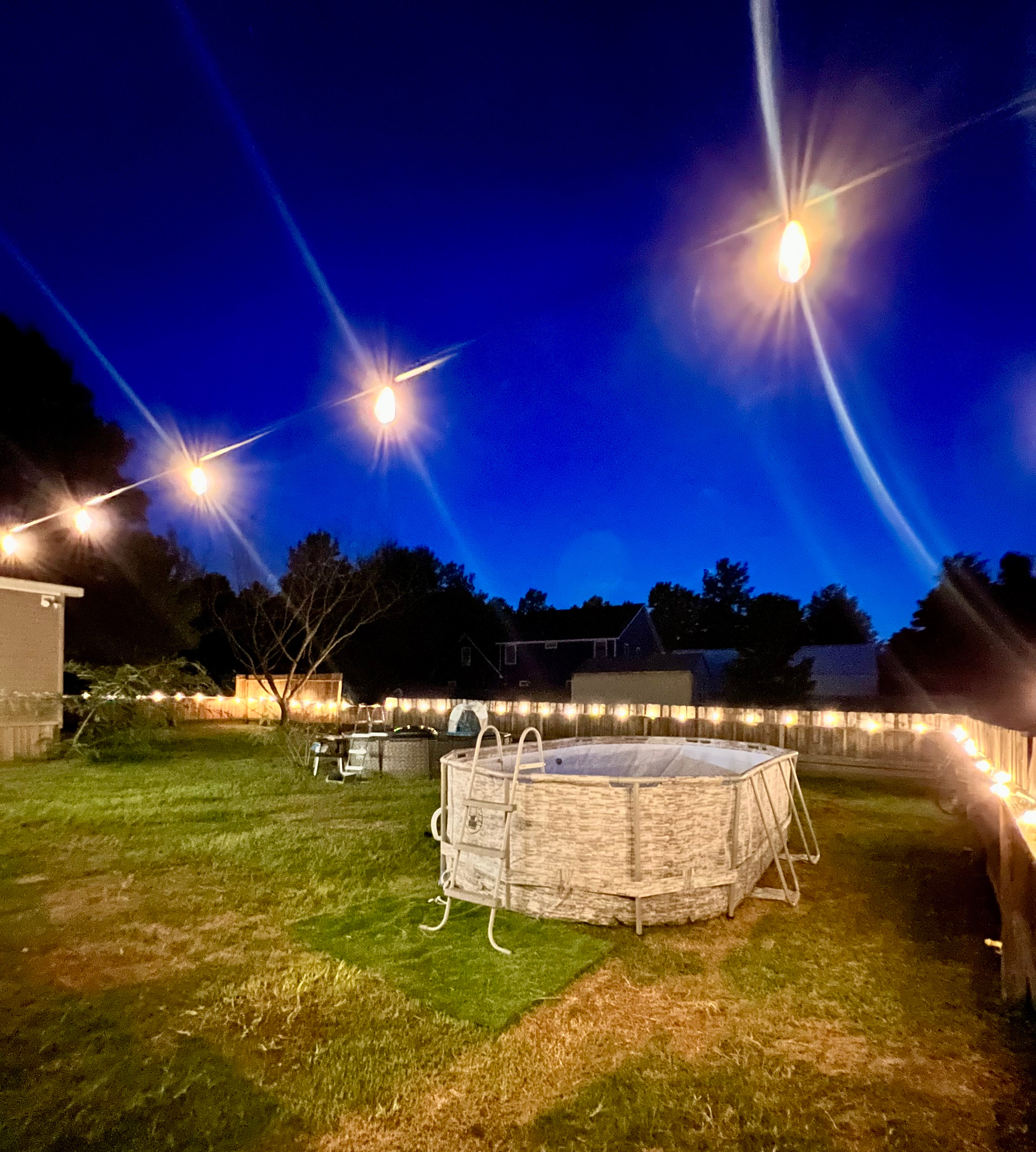 Big City Little Farm