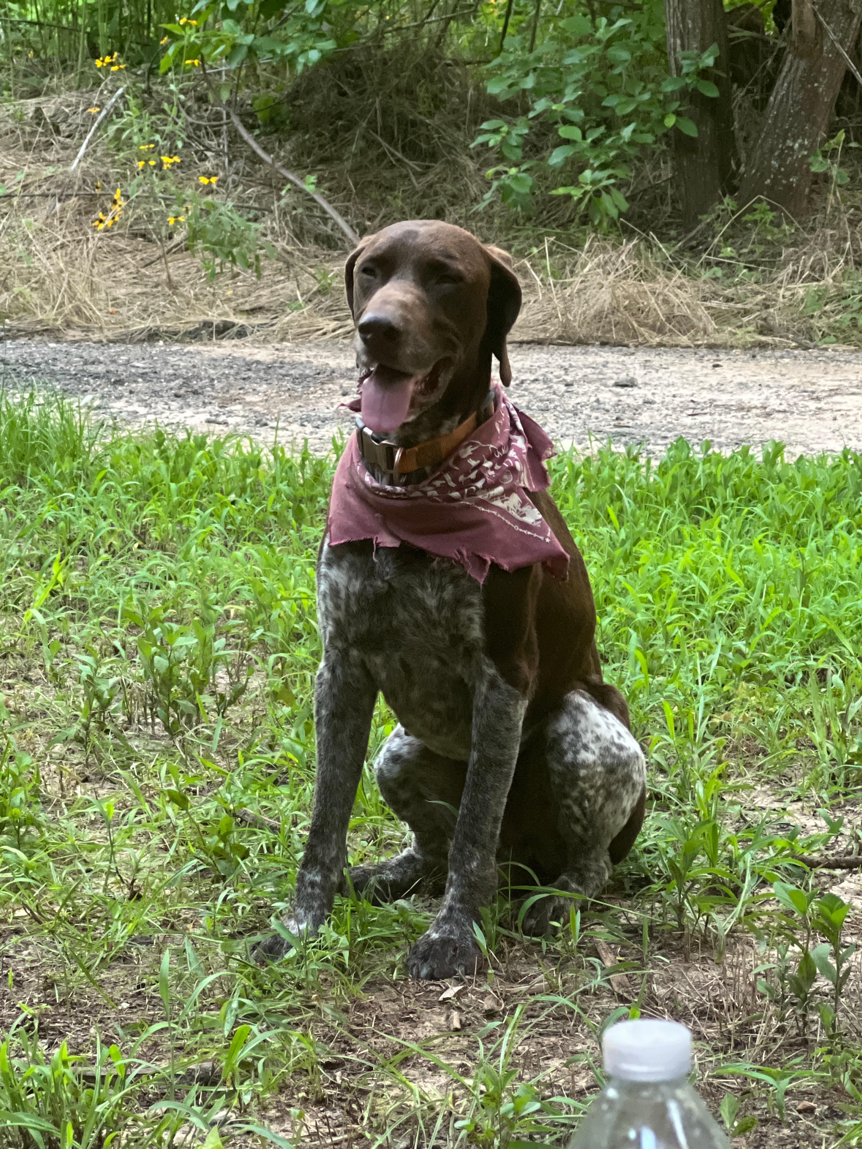 Tara Vineyard & Winery estate