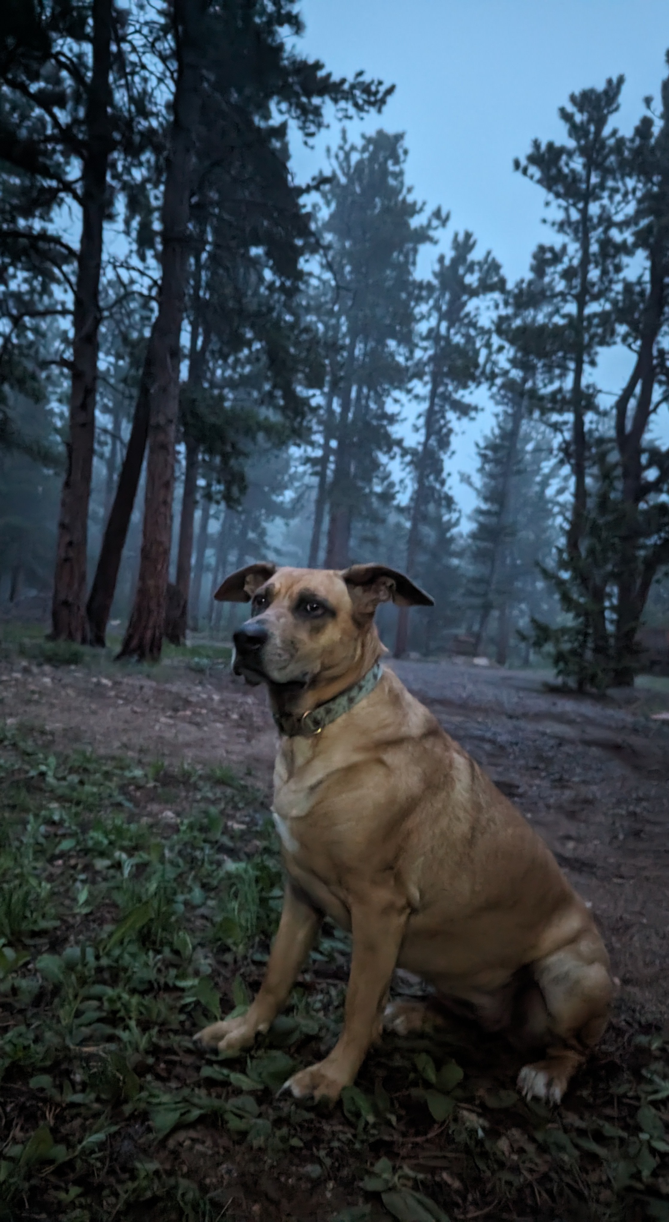 Rocky Mountain RV Retreat