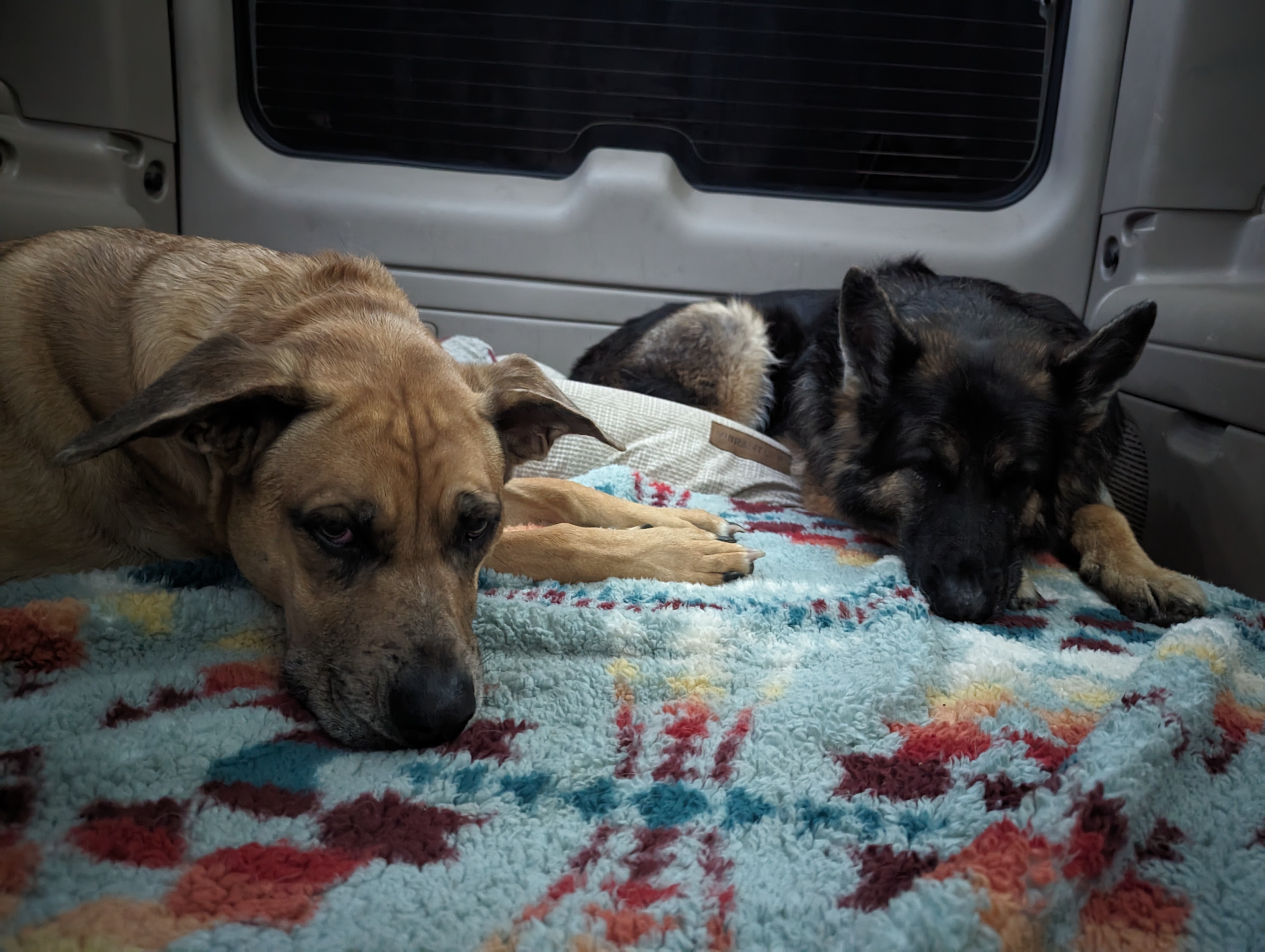 Rocky Mountain RV Retreat