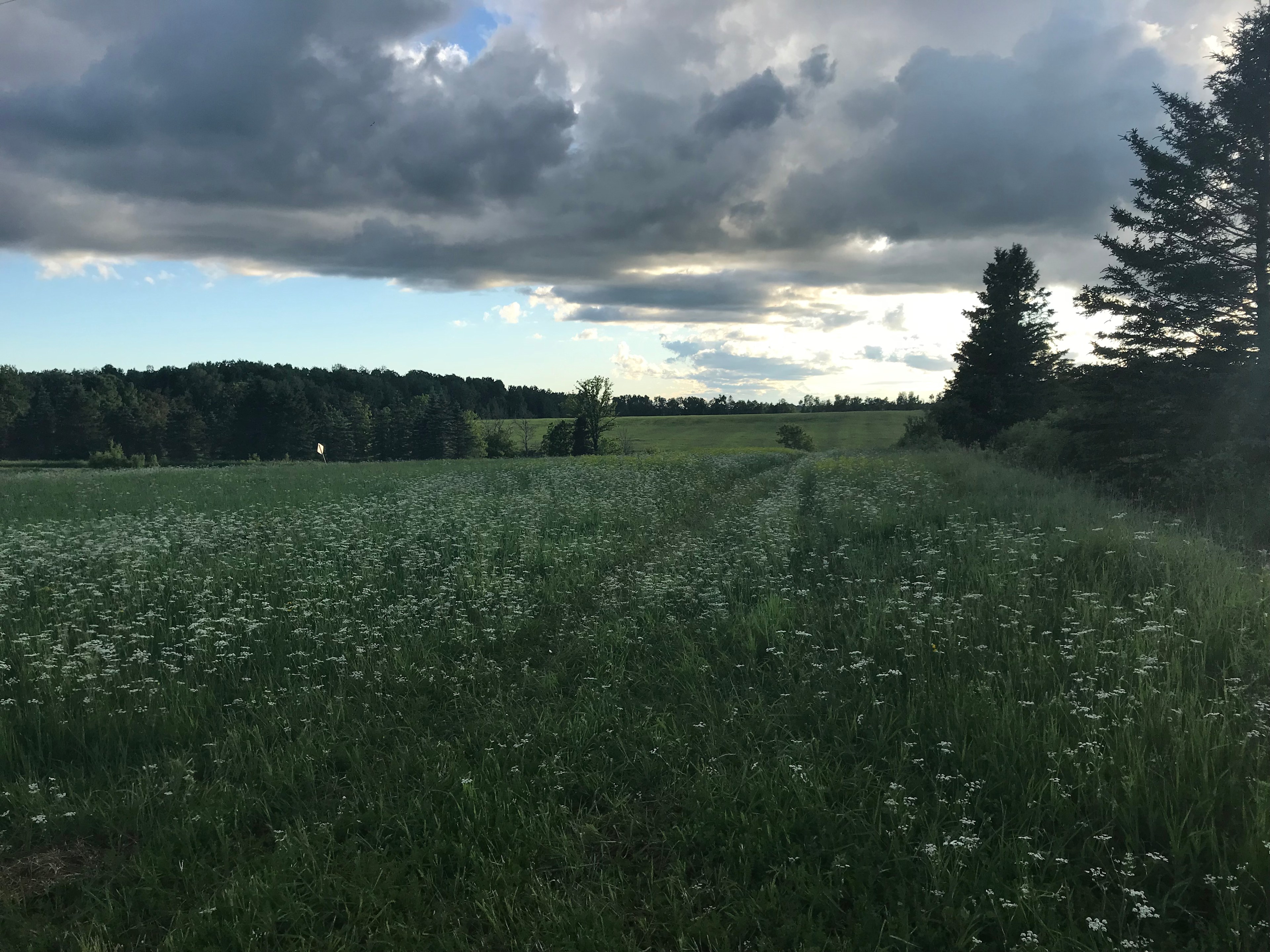 Farm Life