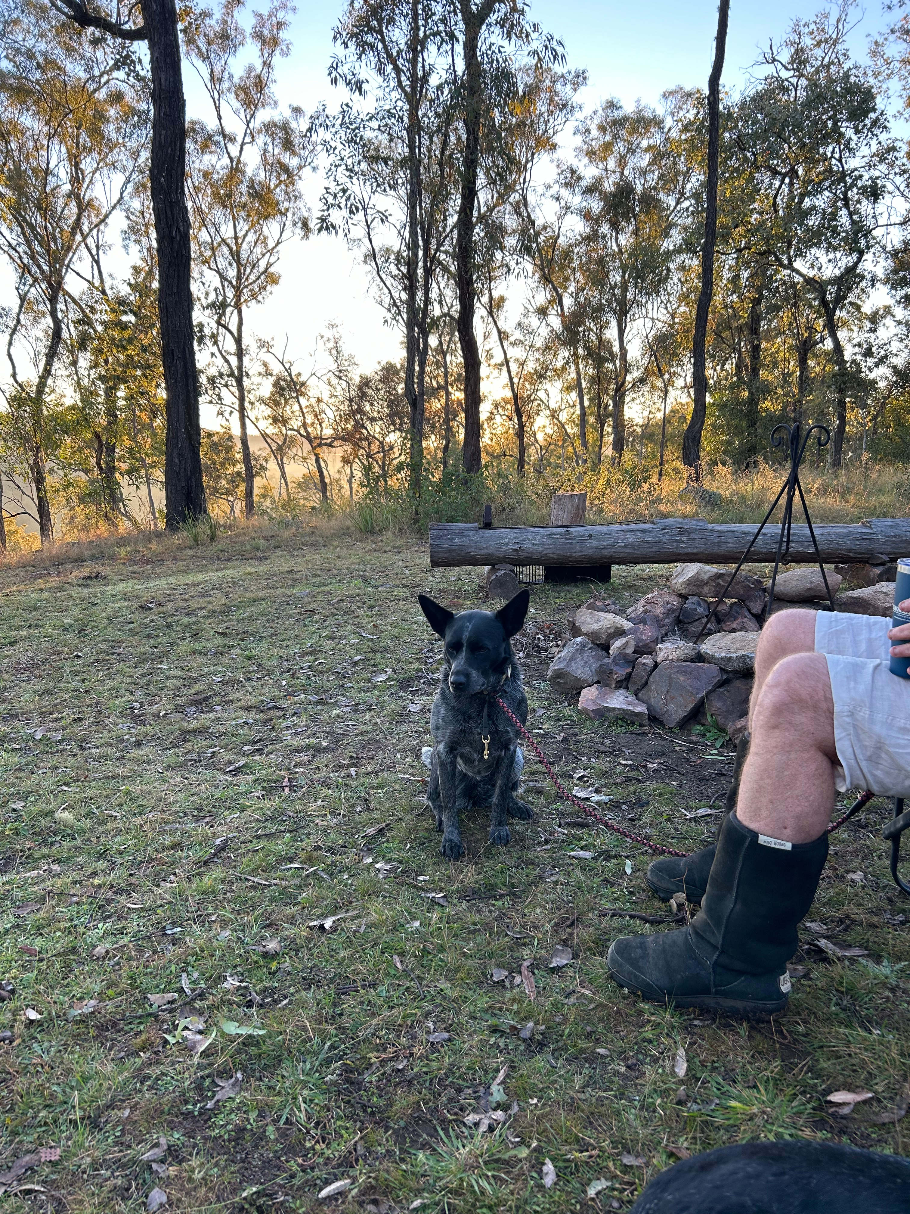 Resolute Nature Refuge, Nanango