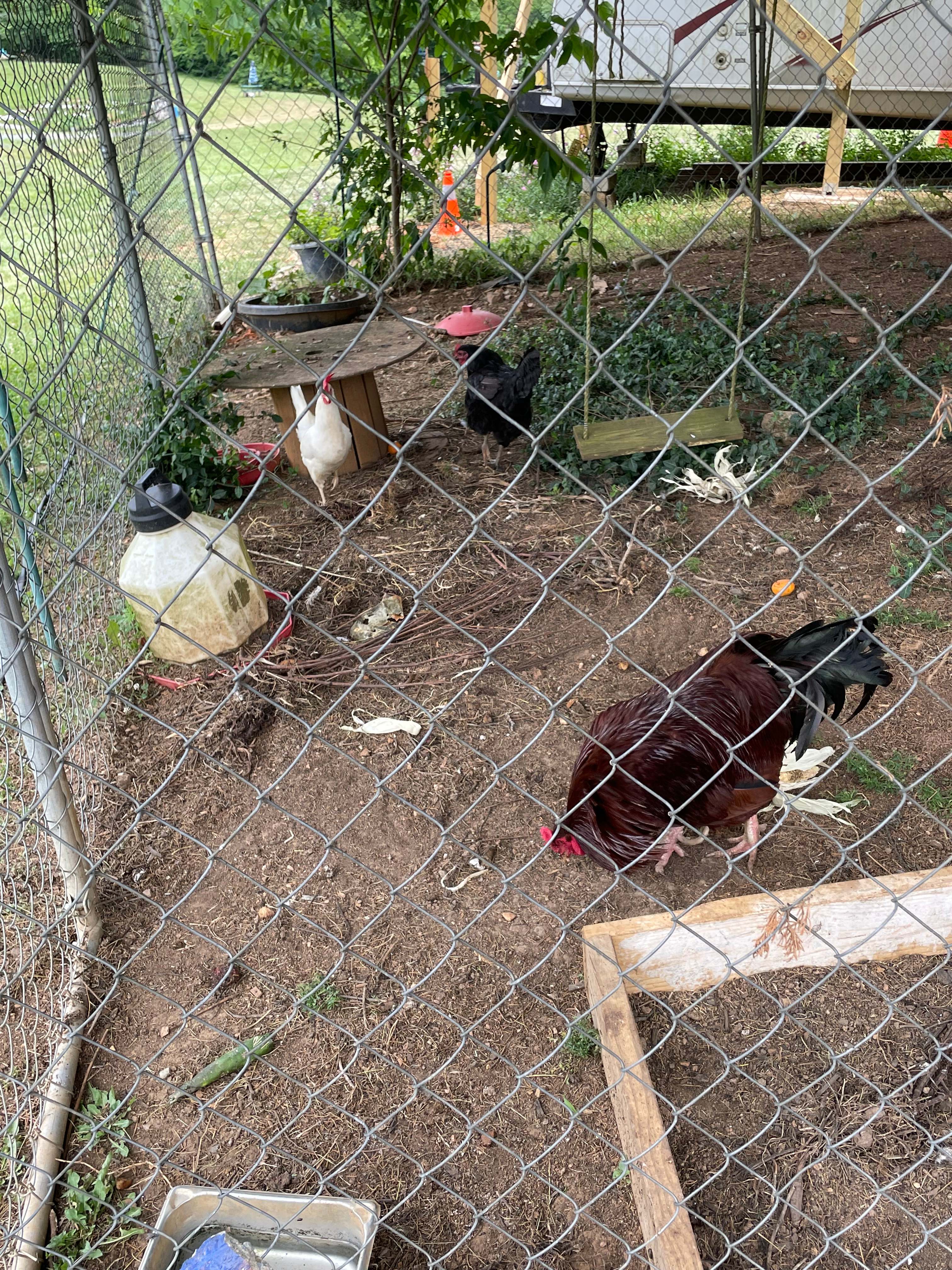 2nd40 to 420 - The Farm