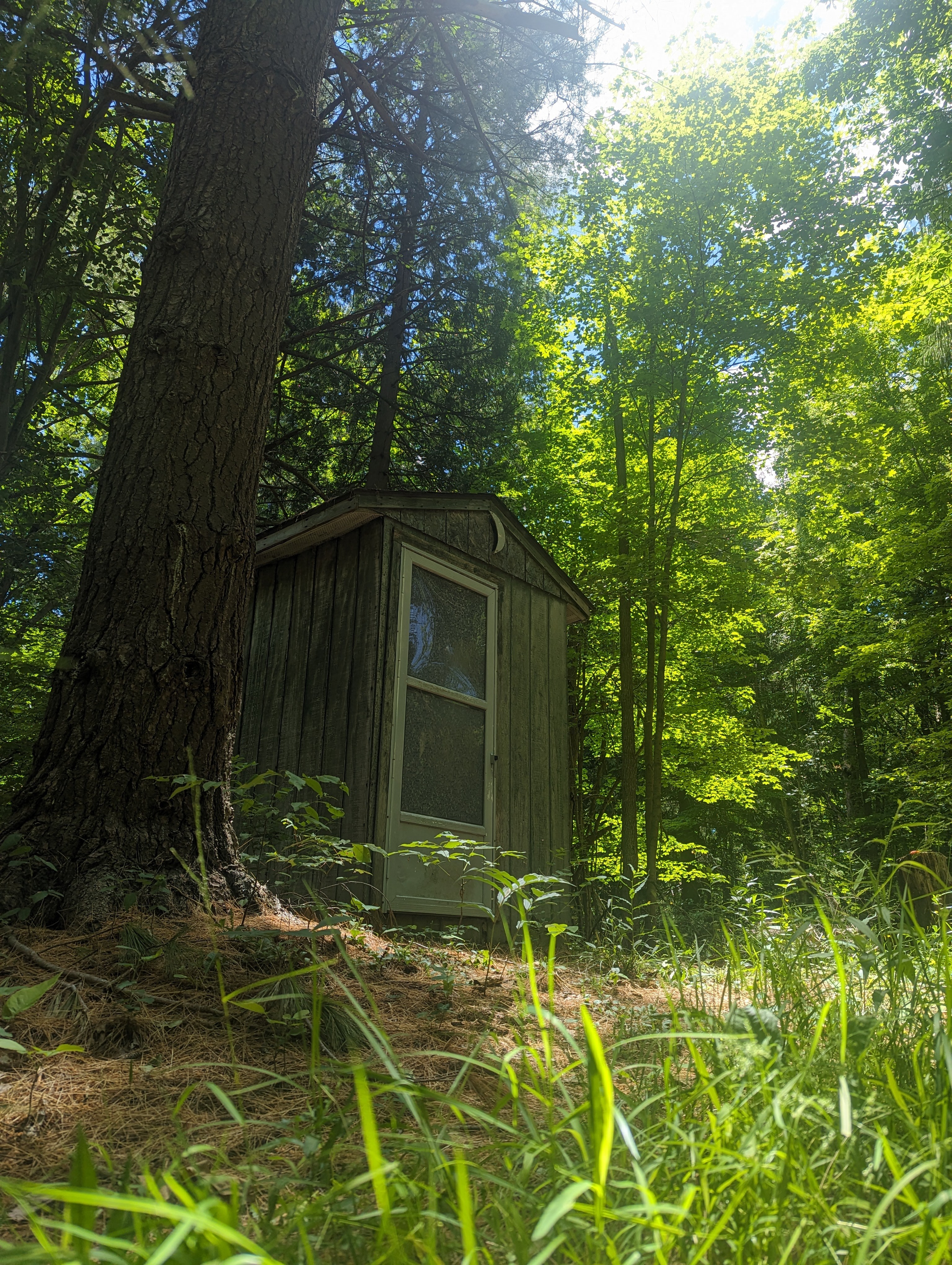 Steadfast Roots Homestead