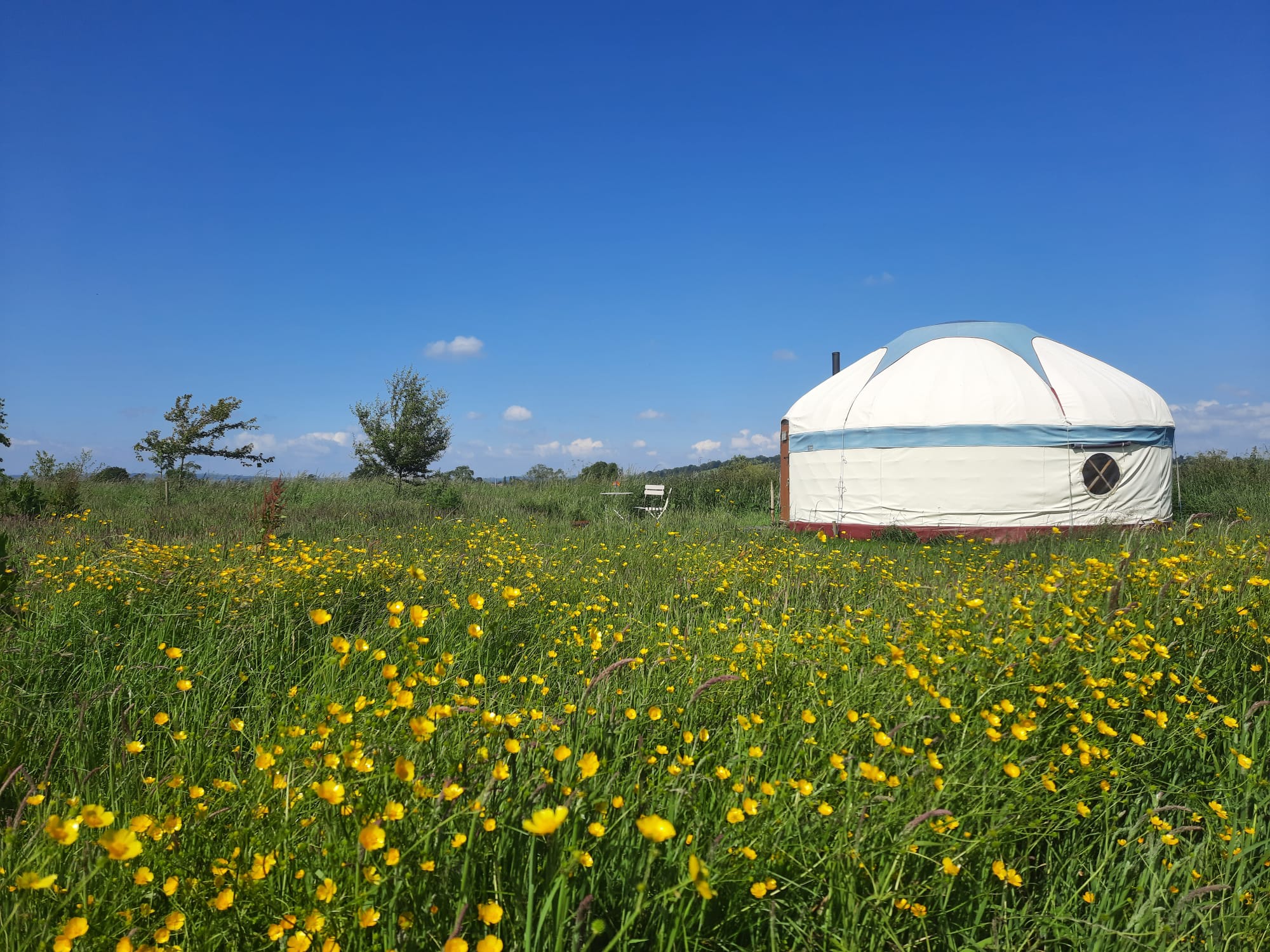Glastonbury Wild Glamping