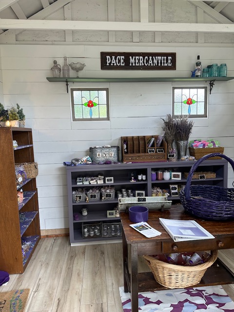 Pace Family Lavender & Hobby Farm