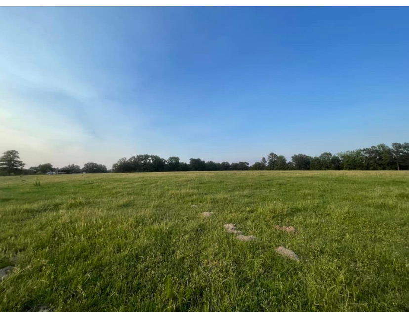 Willis Ranch
