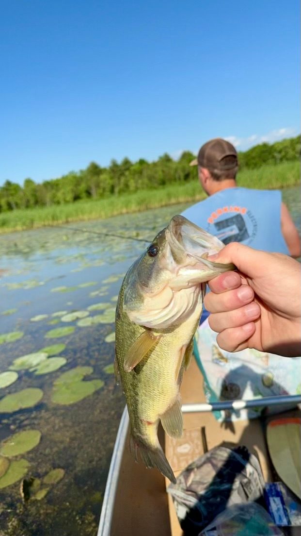 Hot Dot’s Retreat On East Creek A