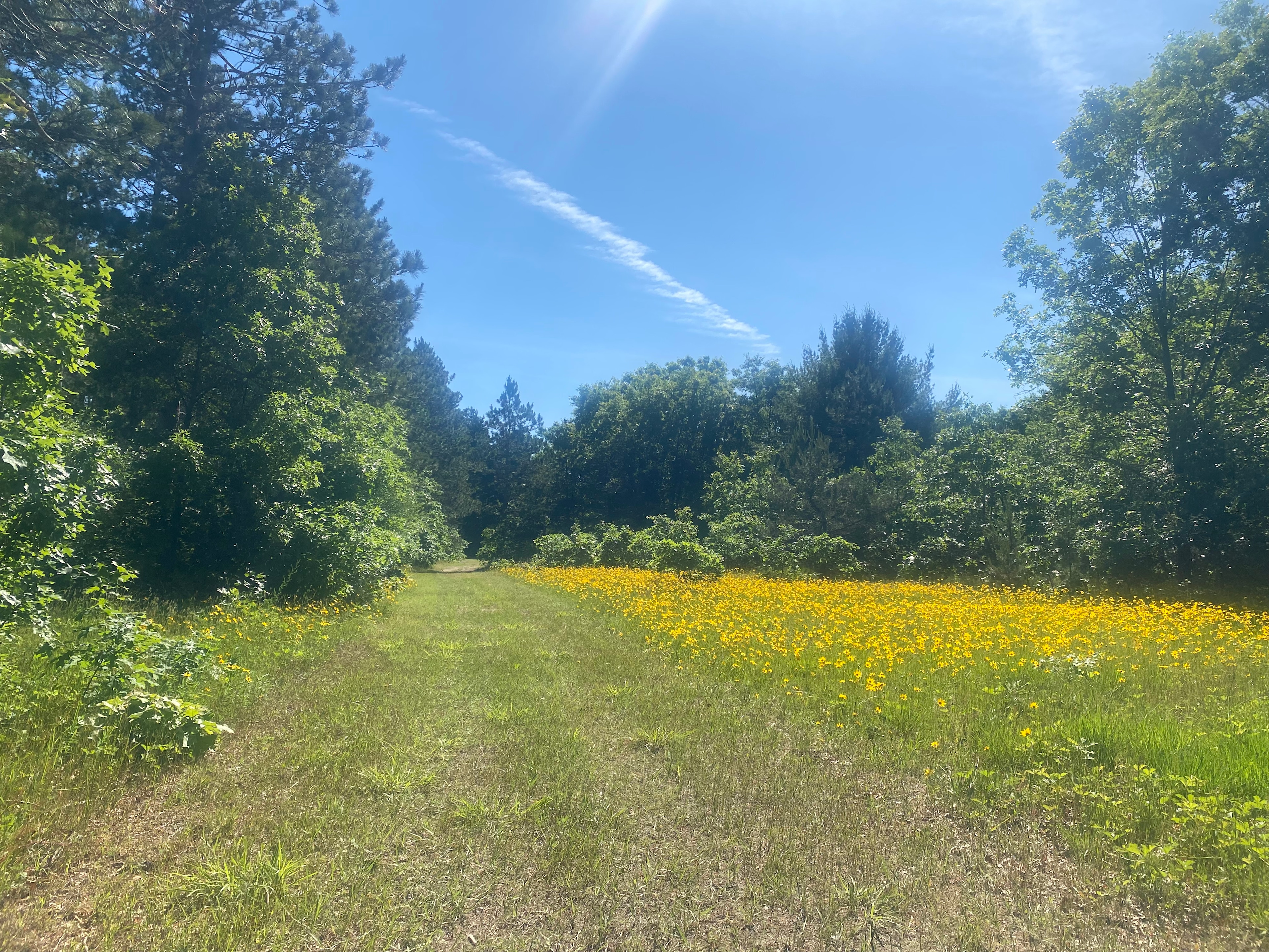 Whispering Pines Retreat