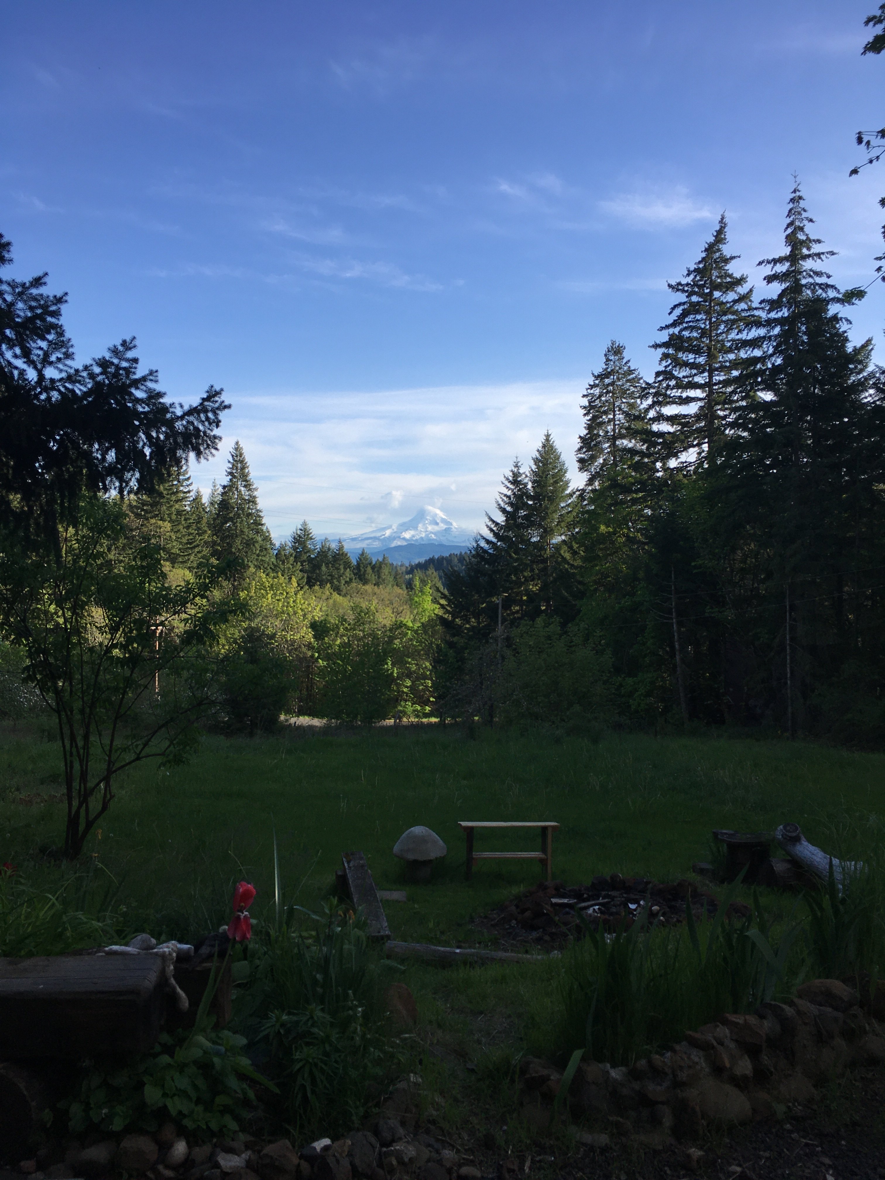 Amazing Views of Mt. Hood!