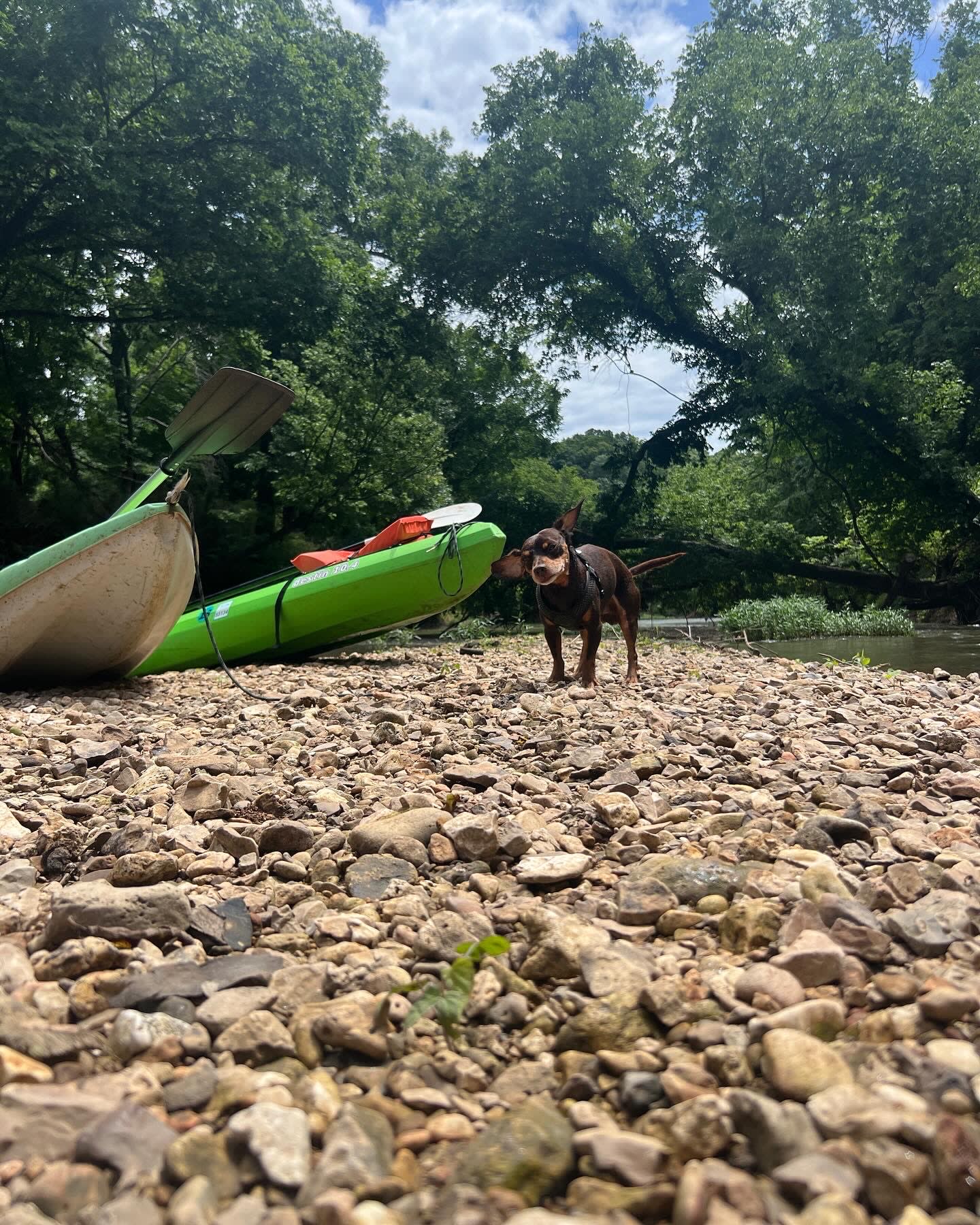 Illinois River Paradise | 60 Acres