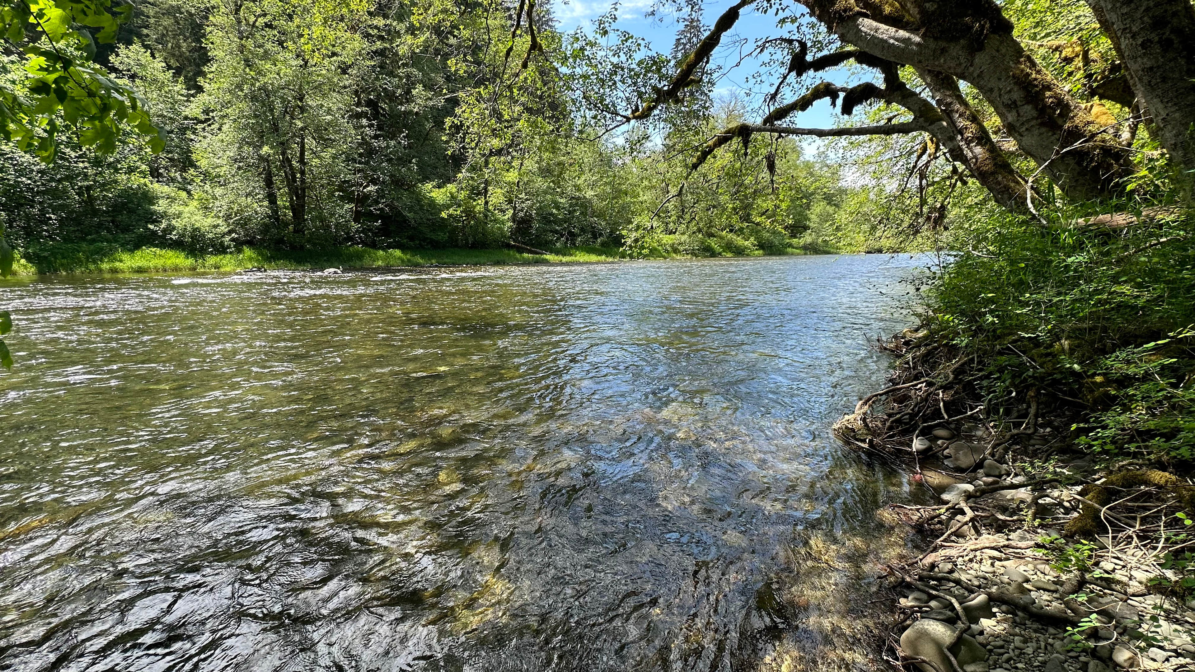 Sol Duc Waterfront
