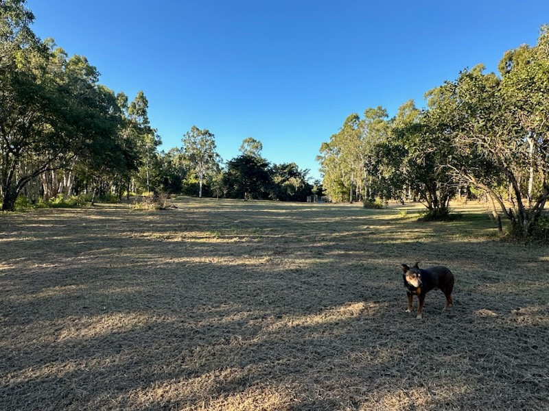 Crystal Brook Camping