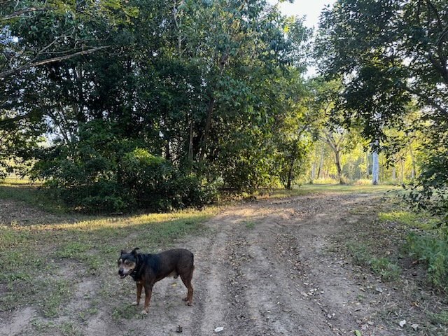 Crystal Brook Camping