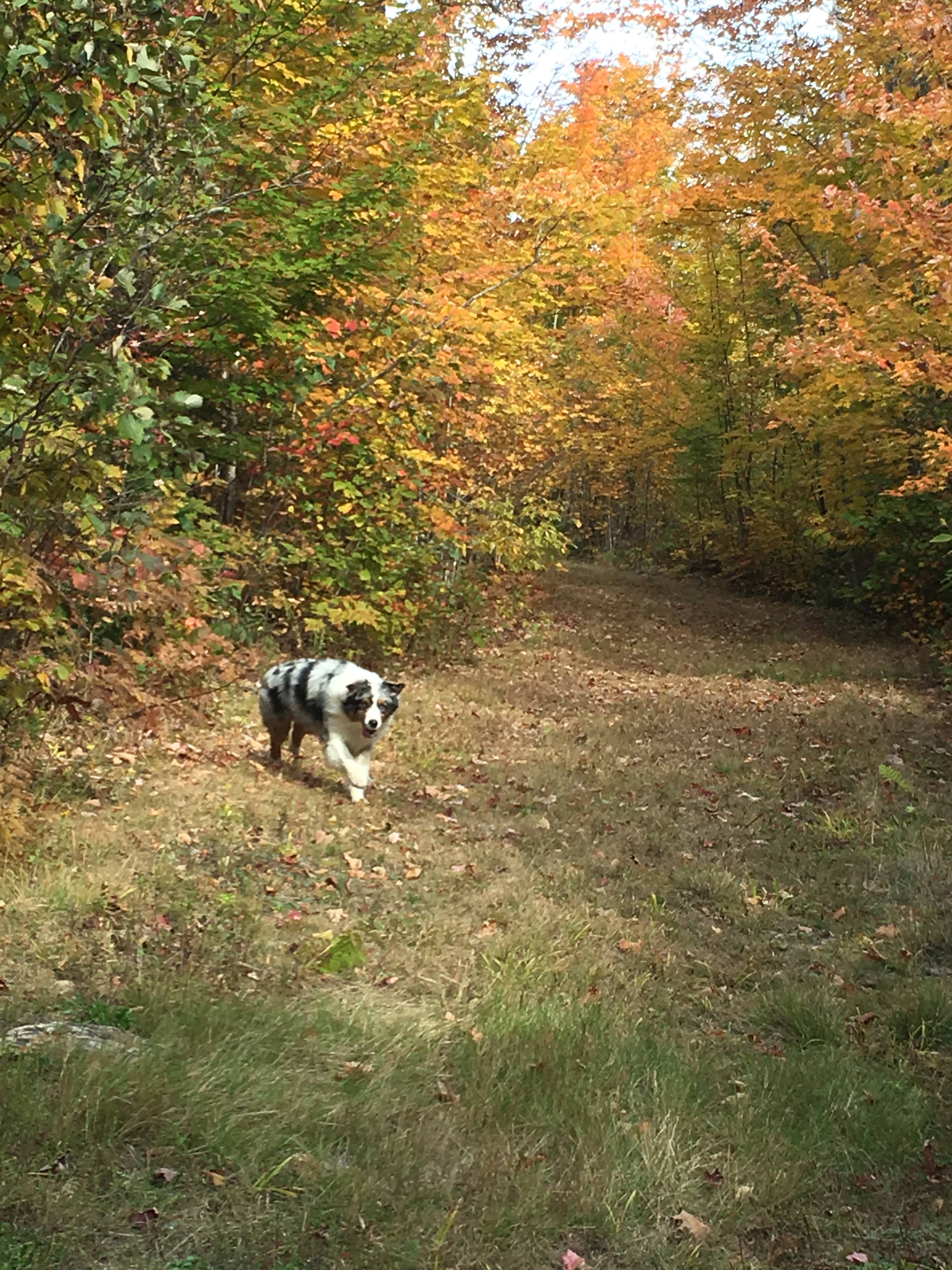 Trails for exploring 