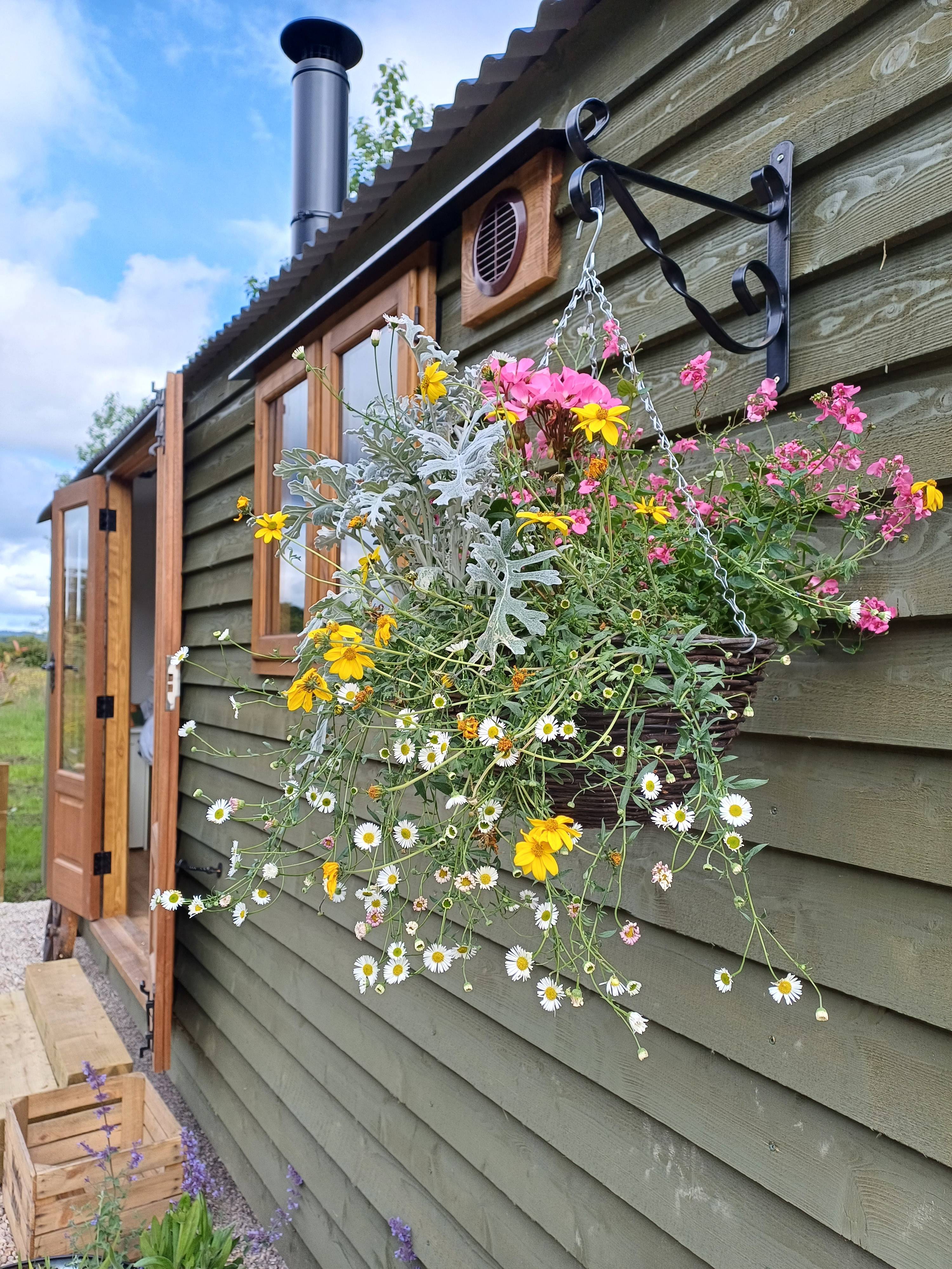 The Darling Woods of May