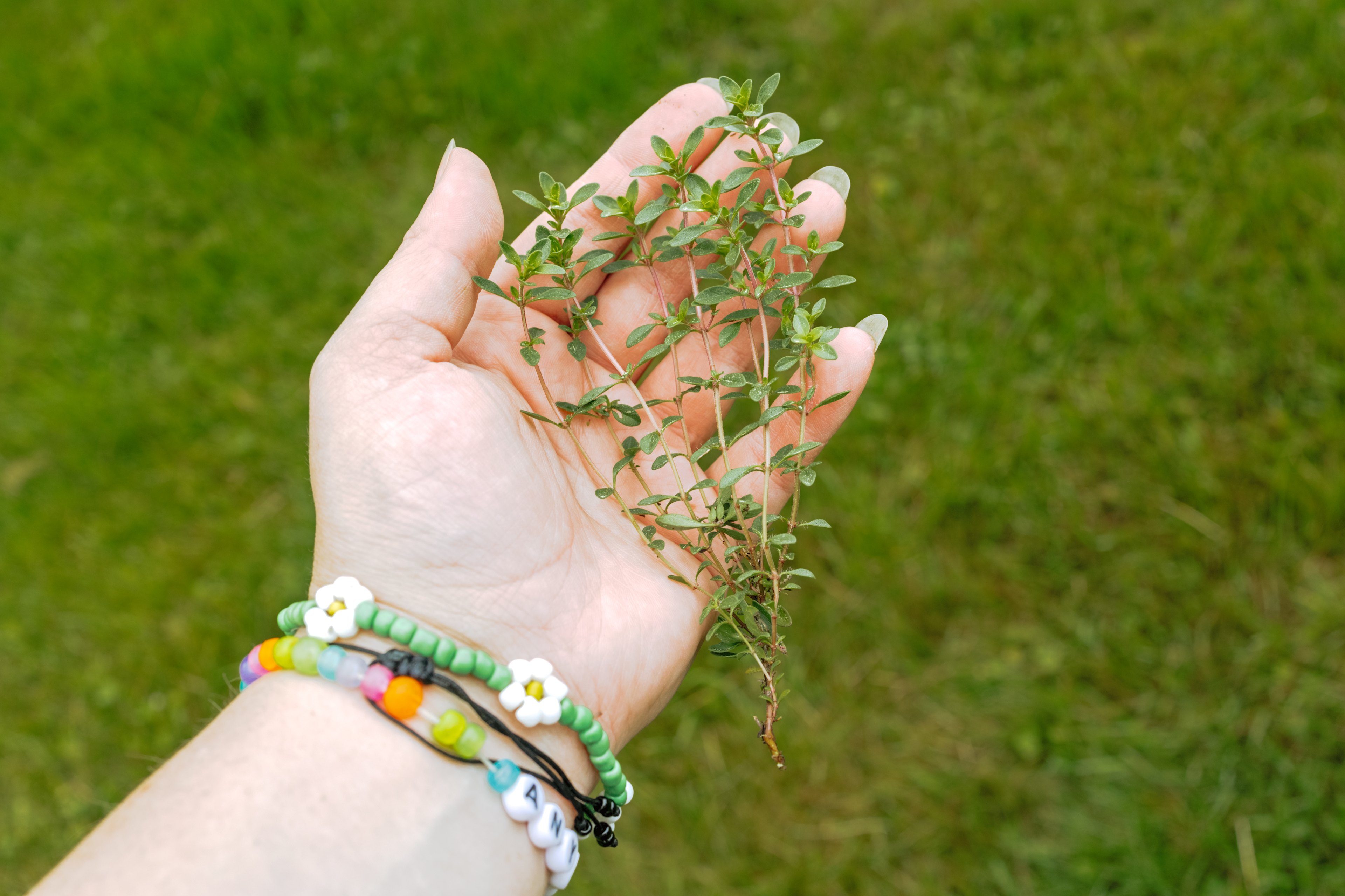 Atom was kinda enough to let me take a clipping of thyme which I cooked up with some potatoes and steak the next night. Thanks Atom!! 