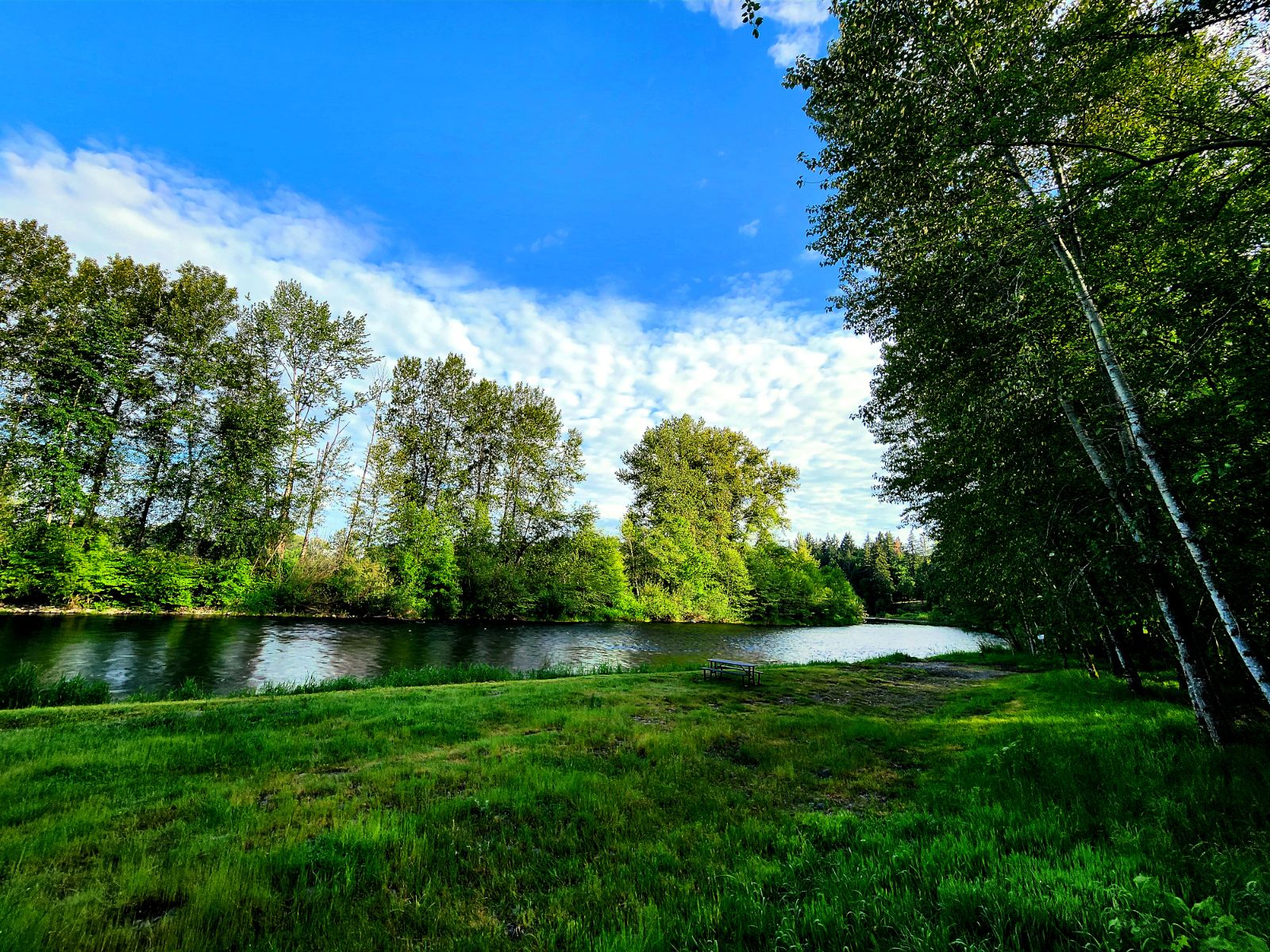 Molalla Ripple