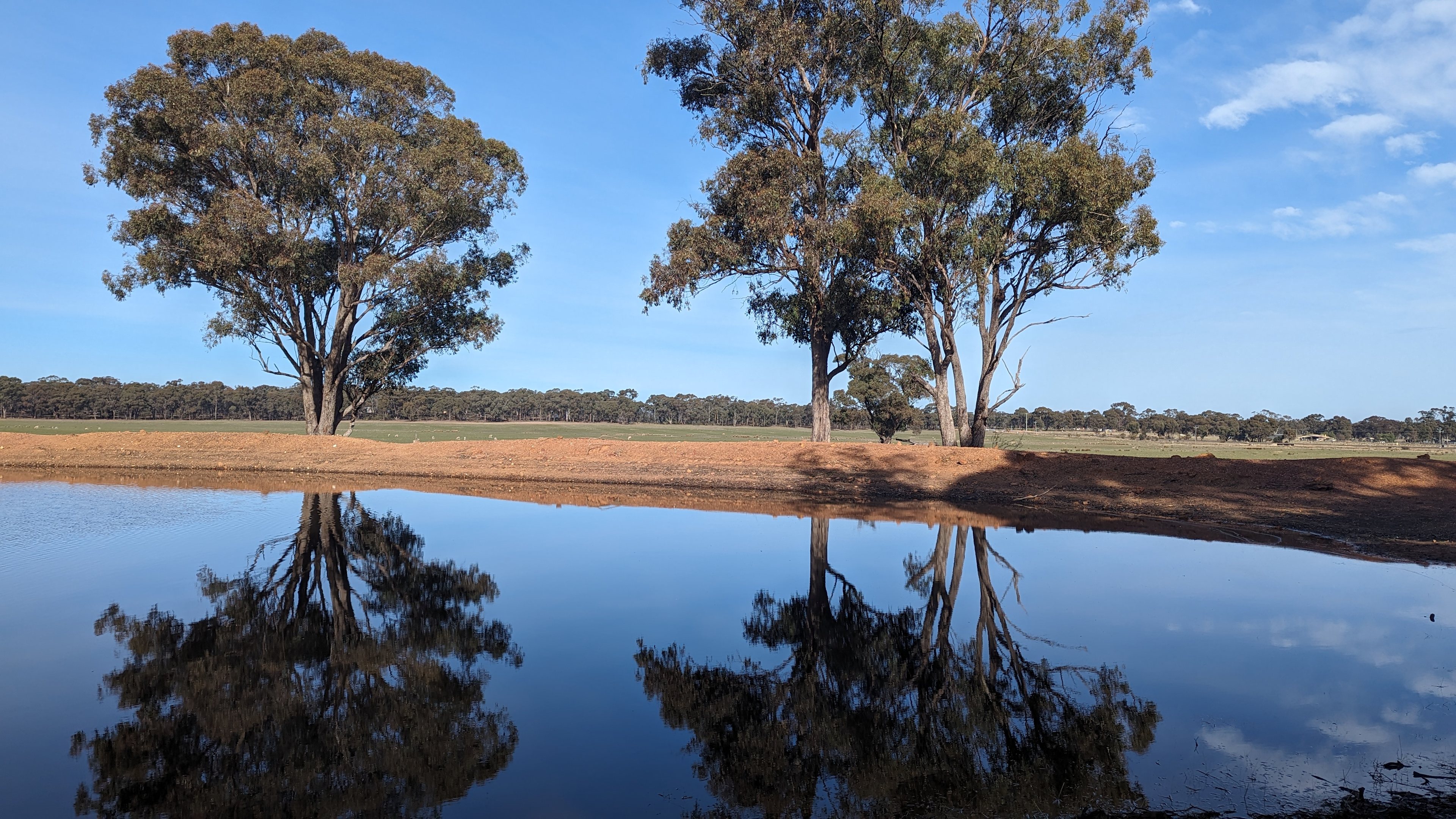 Sebastian Grasslands