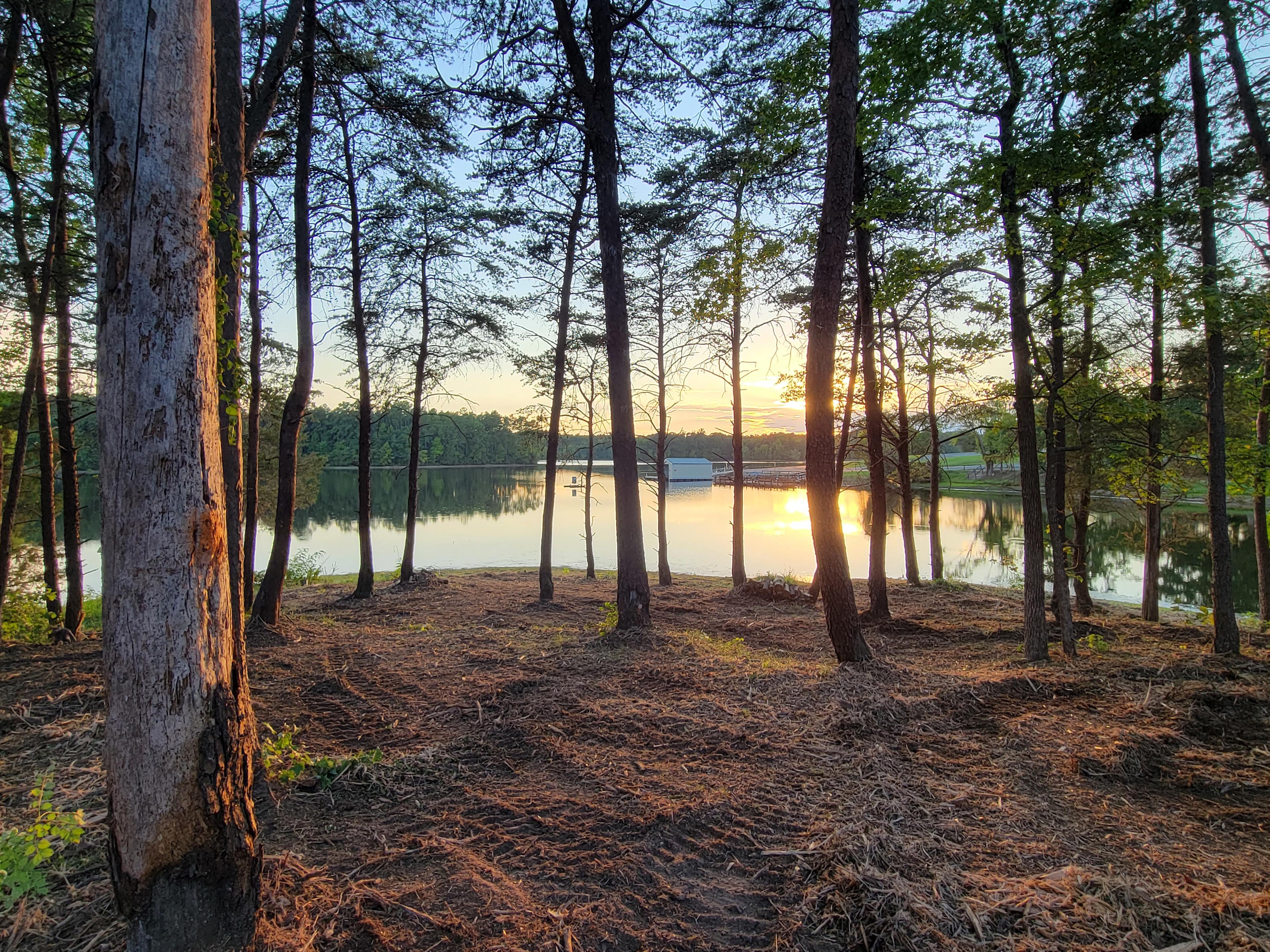 Turtleback Cove