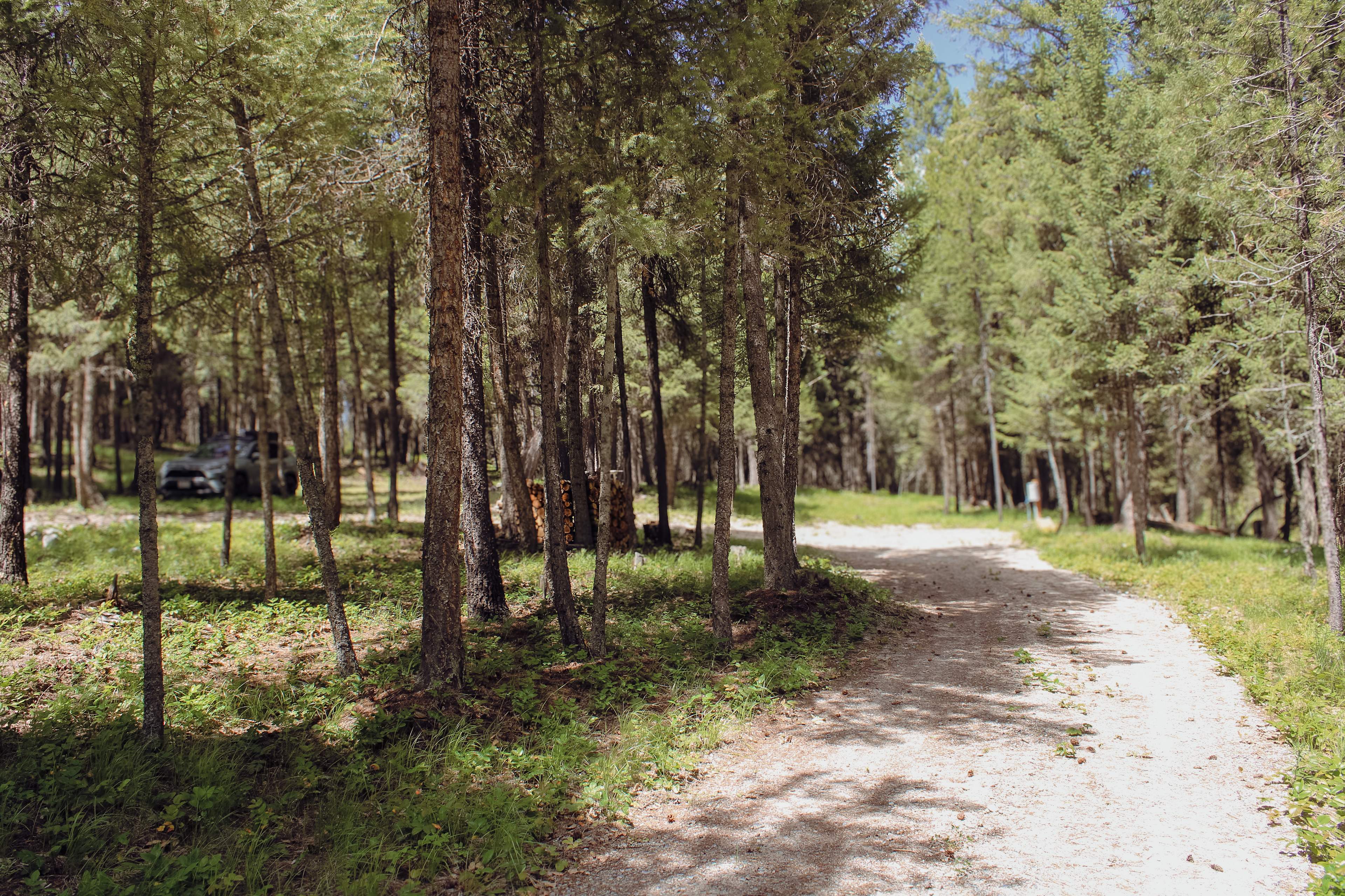 Plenty of space! Had lots of room to be able to park my car in the shade or in the RV slot
