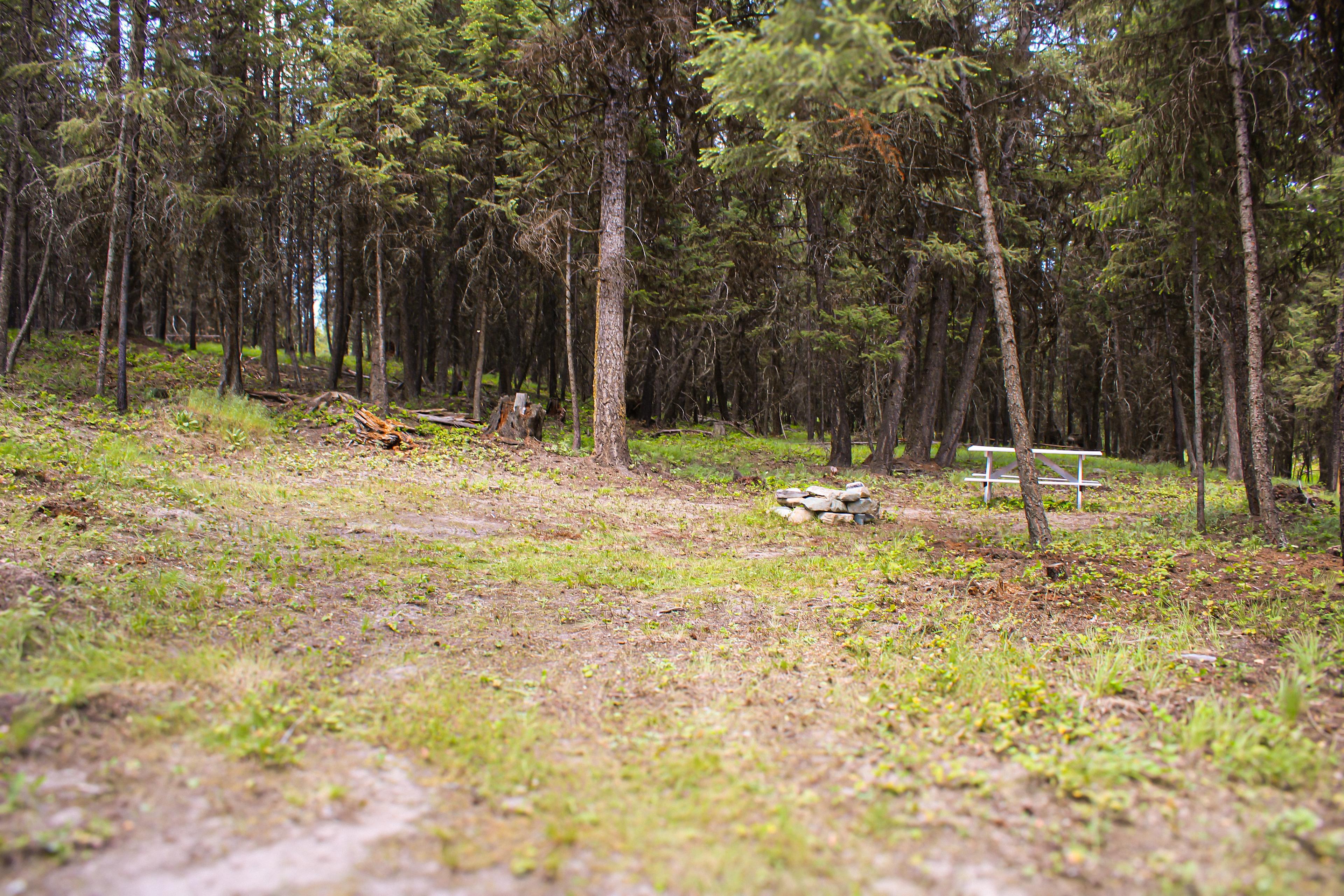 PIcnic / Firepit area, with plenty of room for chairs and any shade structures