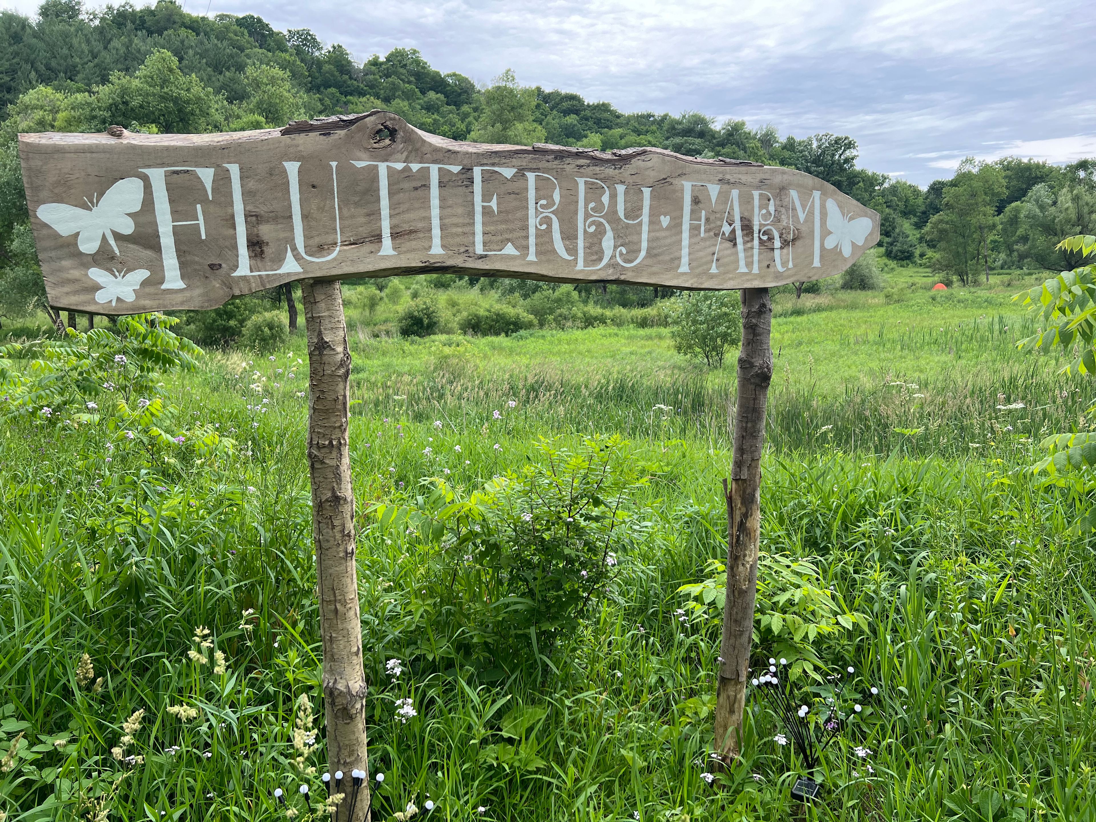 🦫 Flutterby 🦋 Farm 👩🏽‍🌾