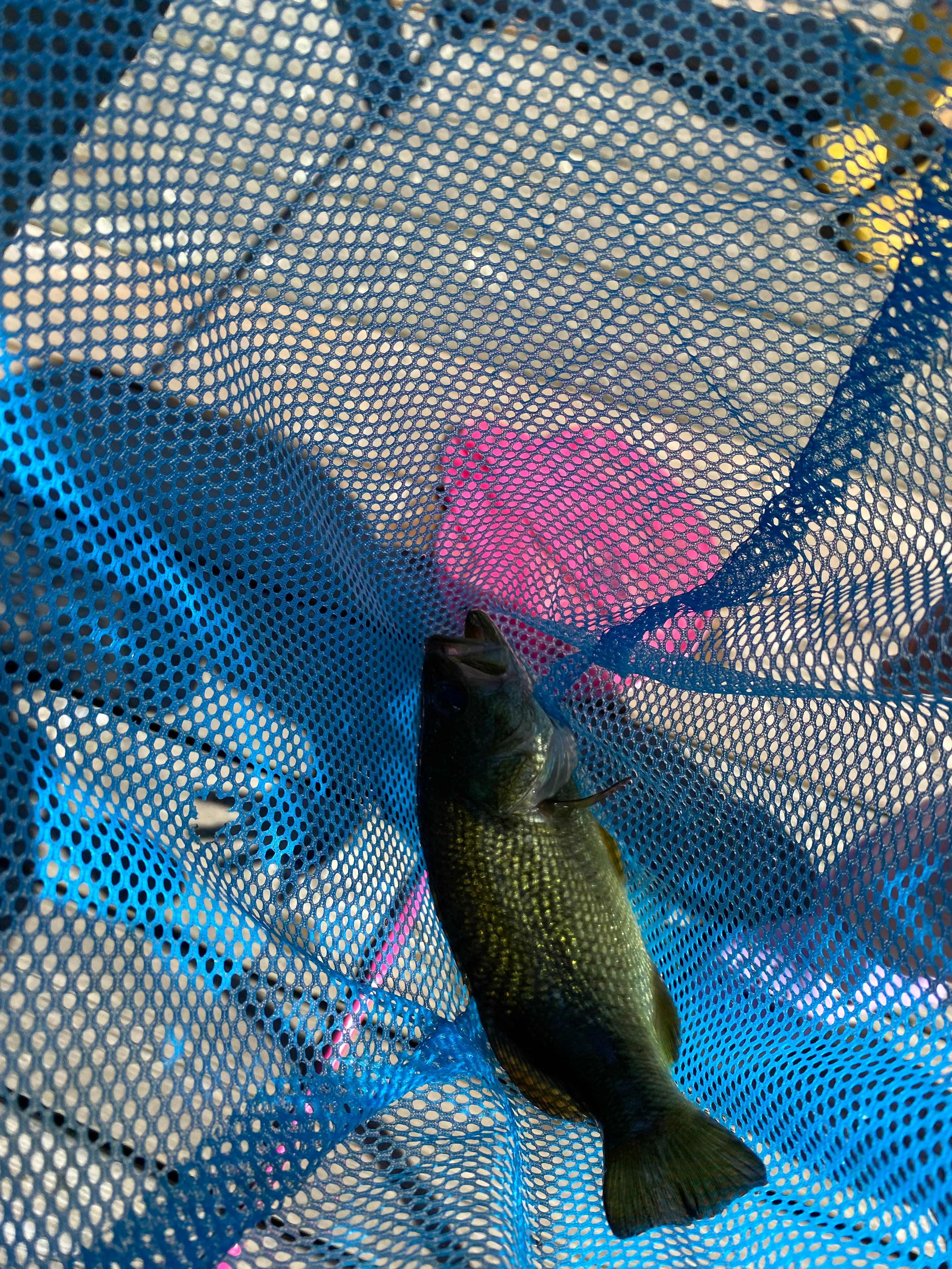 Tiny Village Bon Echo - Camping