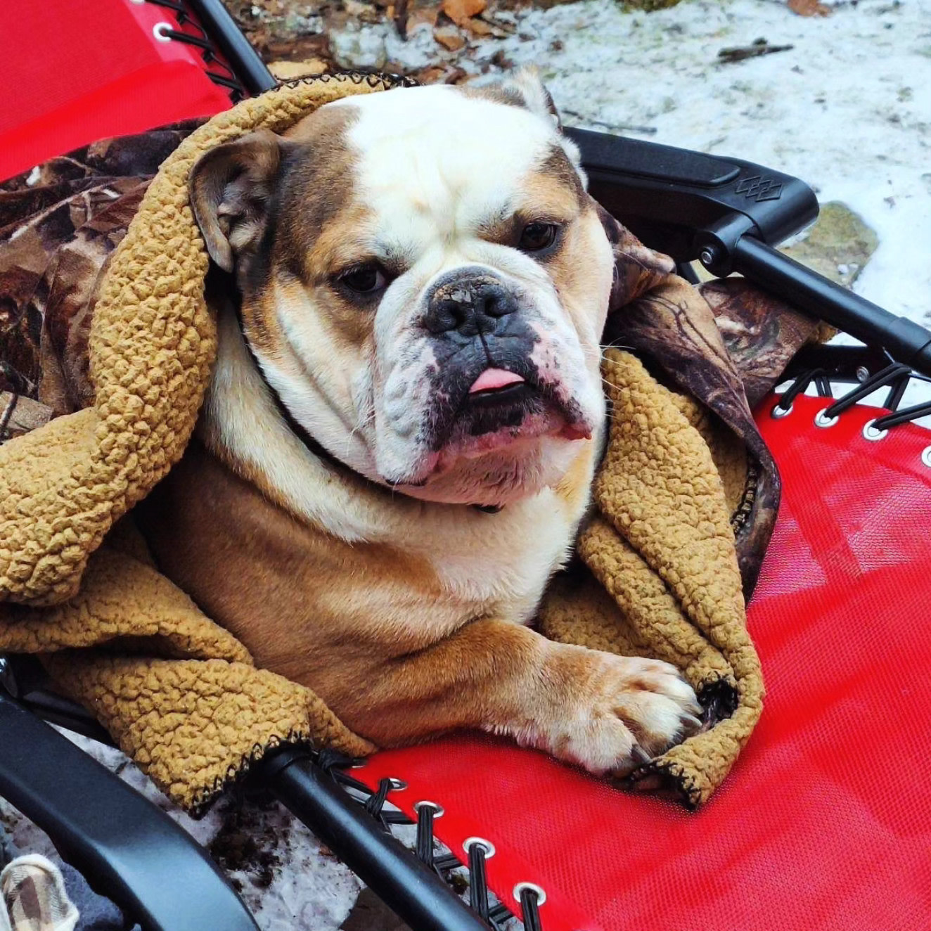 What Ever Floats Your Boat