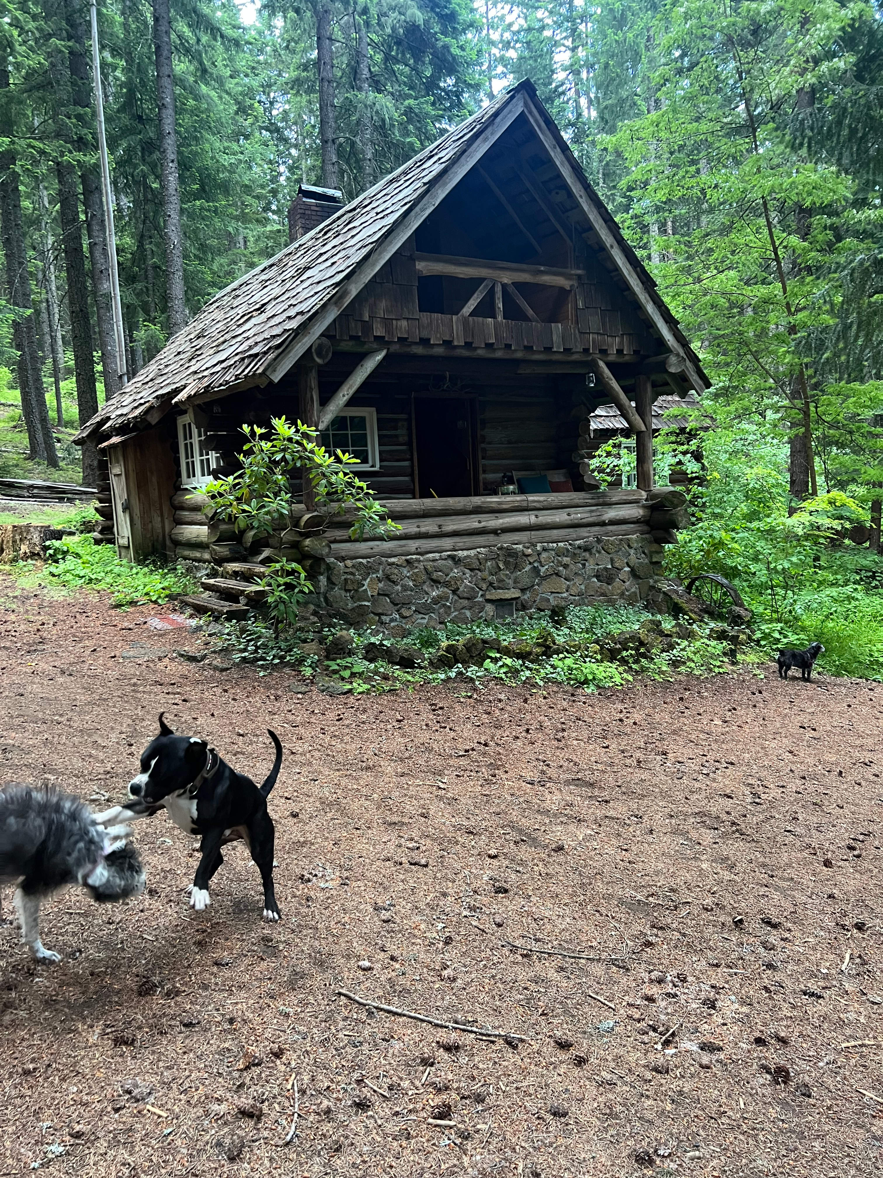 ✨Suzy’s Magic Lil Log Cabin✨✌🏻