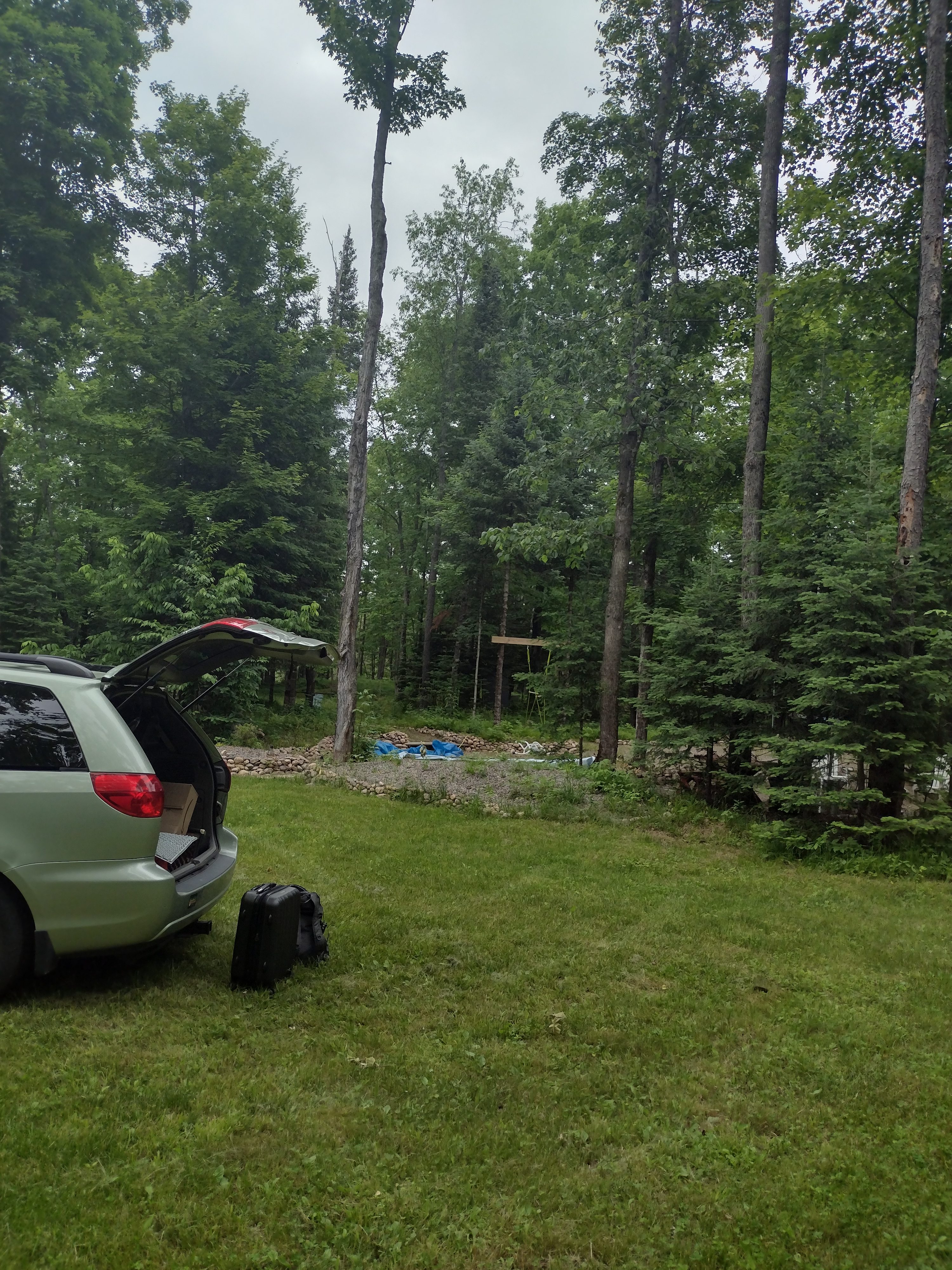 Fitzlow Forest