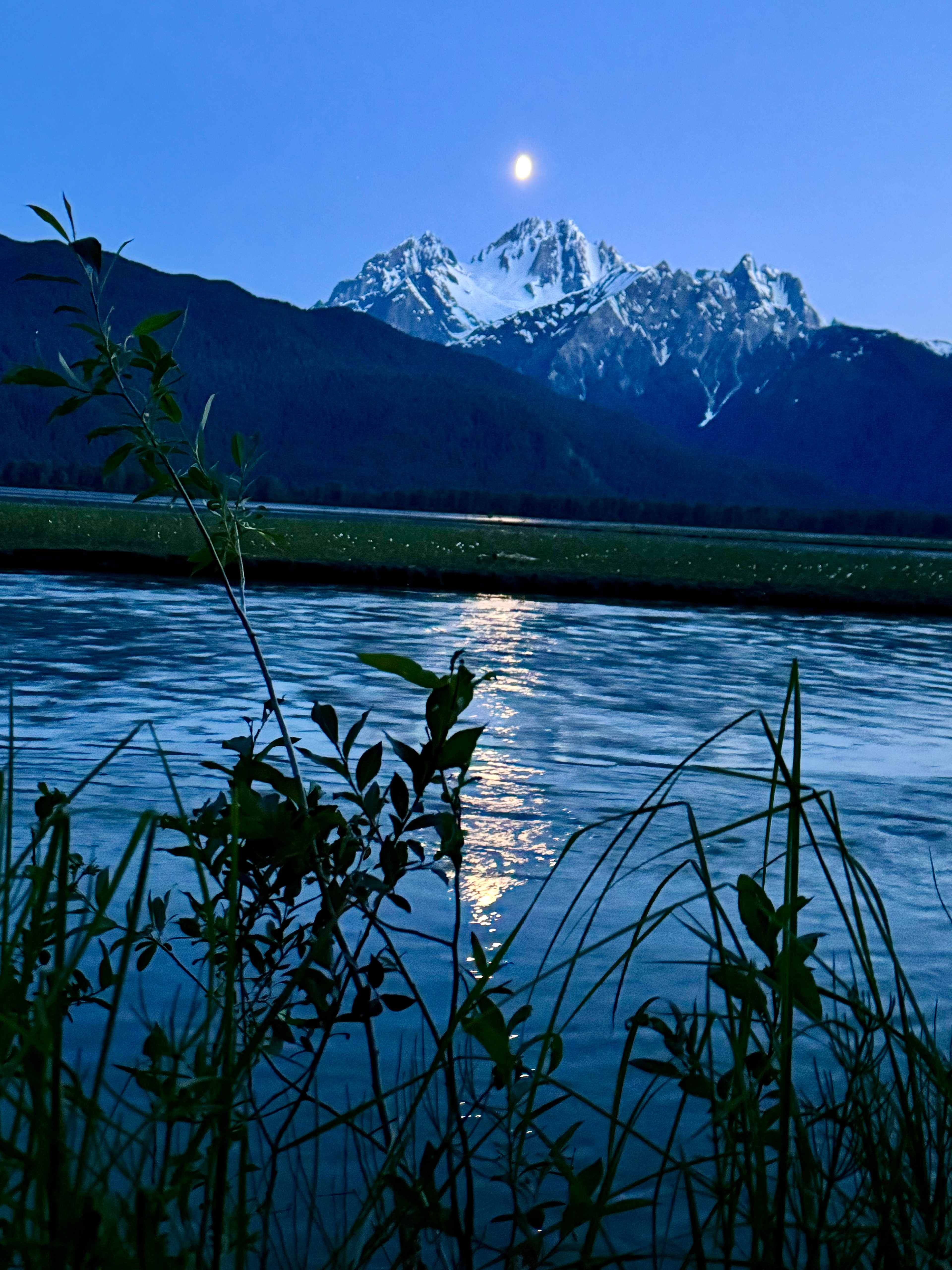 Haines River Camp