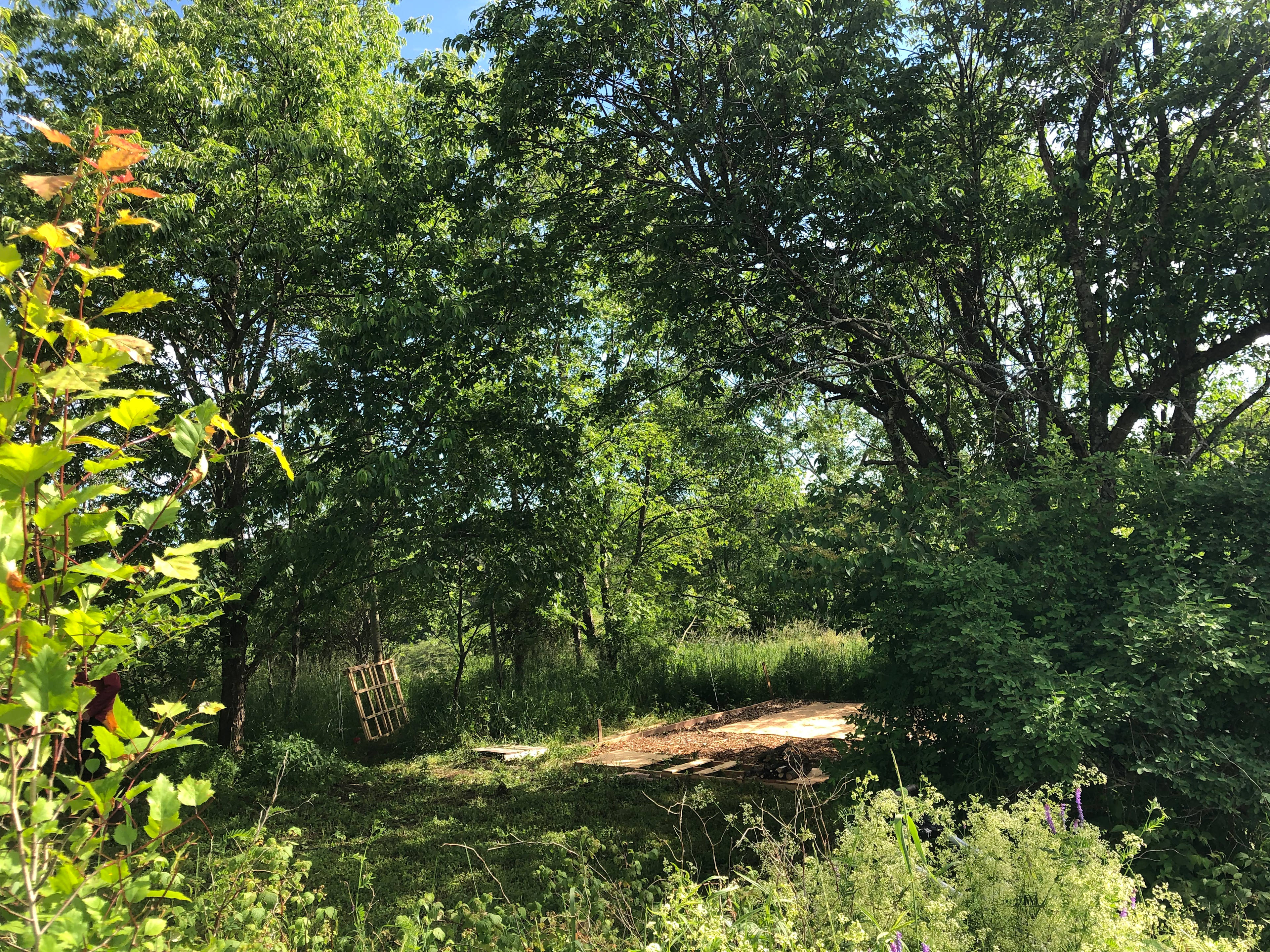 Secluded Farm Camp with Views
