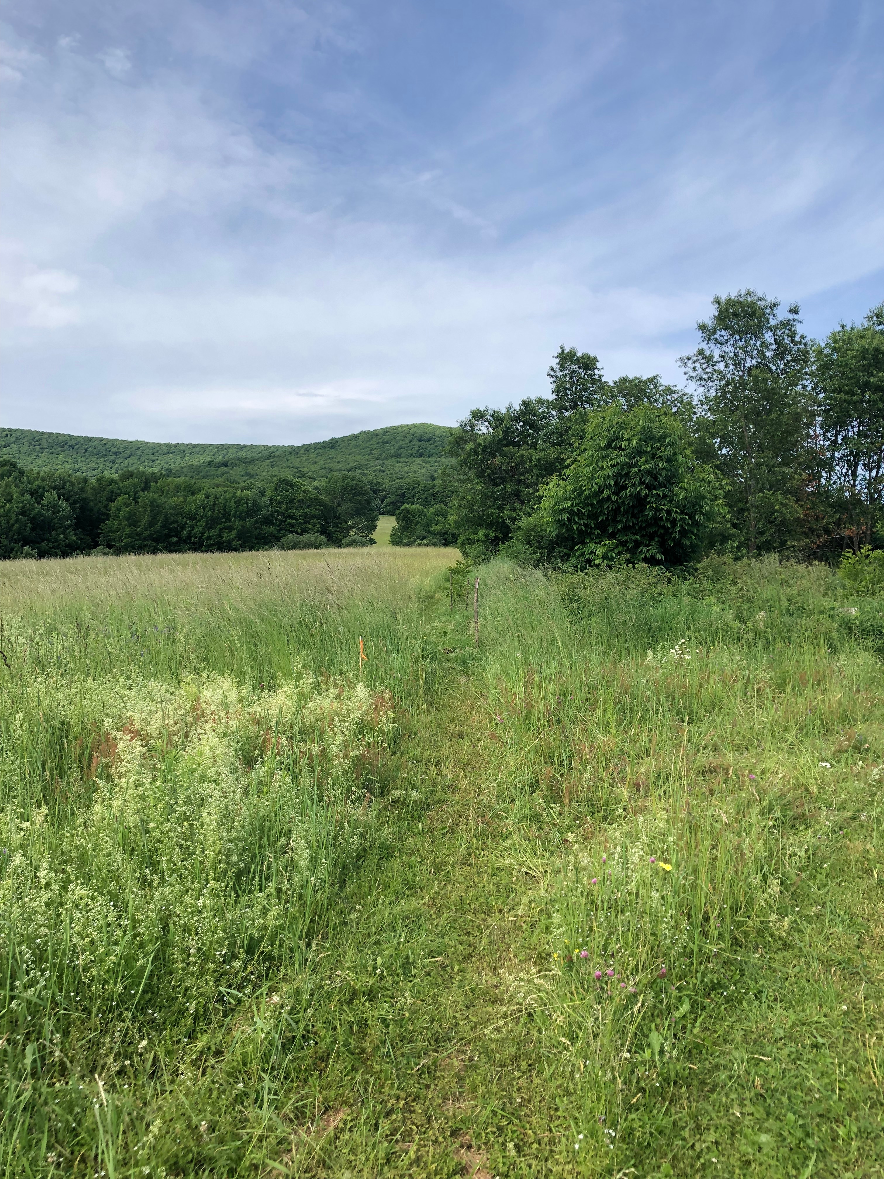 Secluded Farm Camp with Views