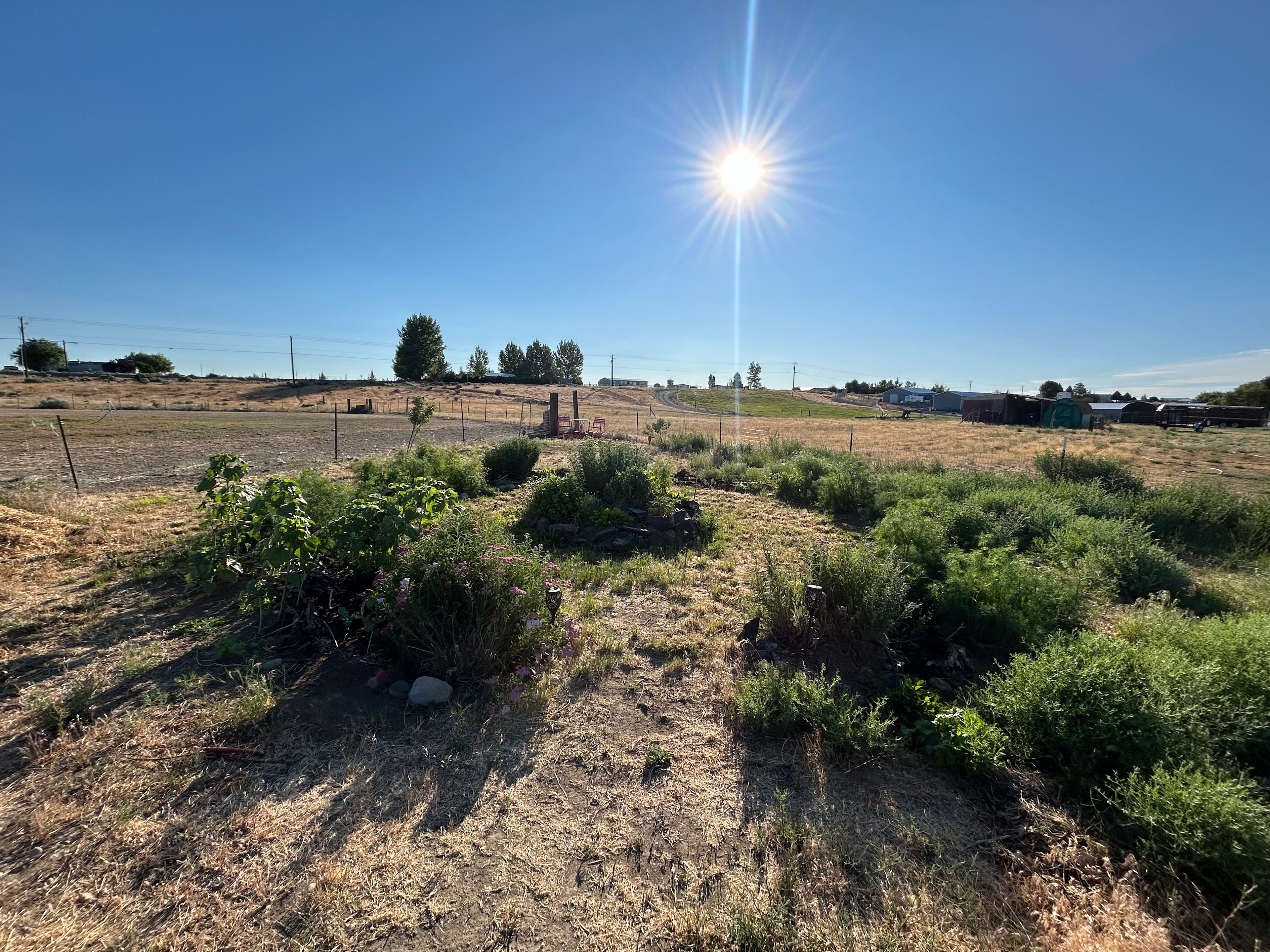 Whimsy Rock Homestead