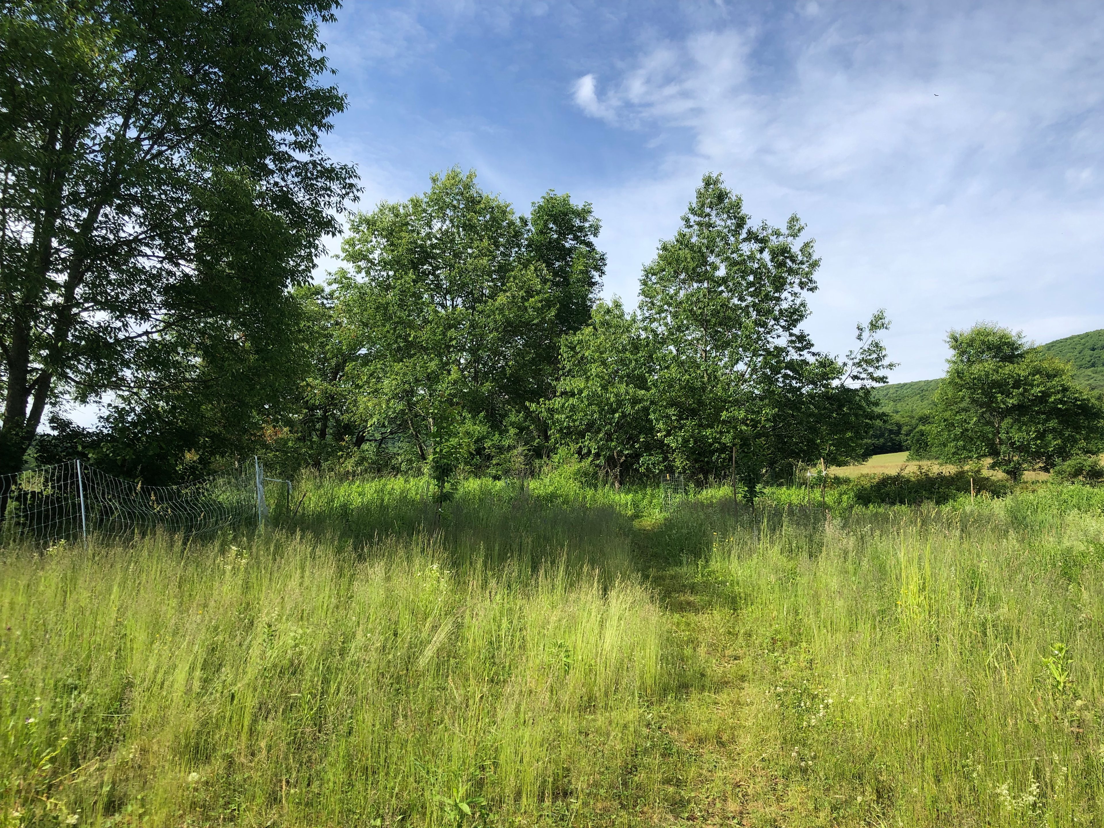 Secluded Farm Camp with Views