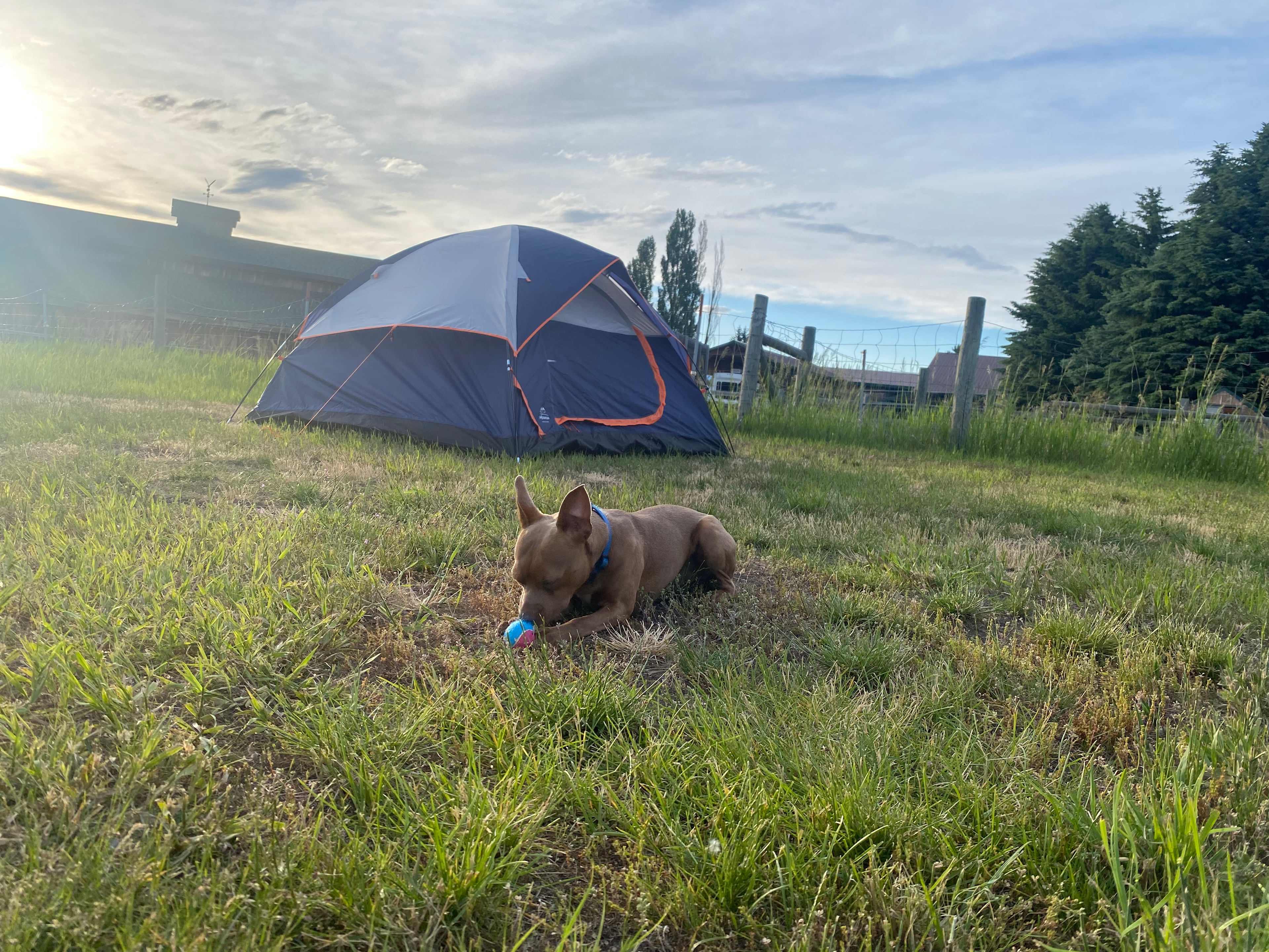 Glacier Acres Guest Ranch