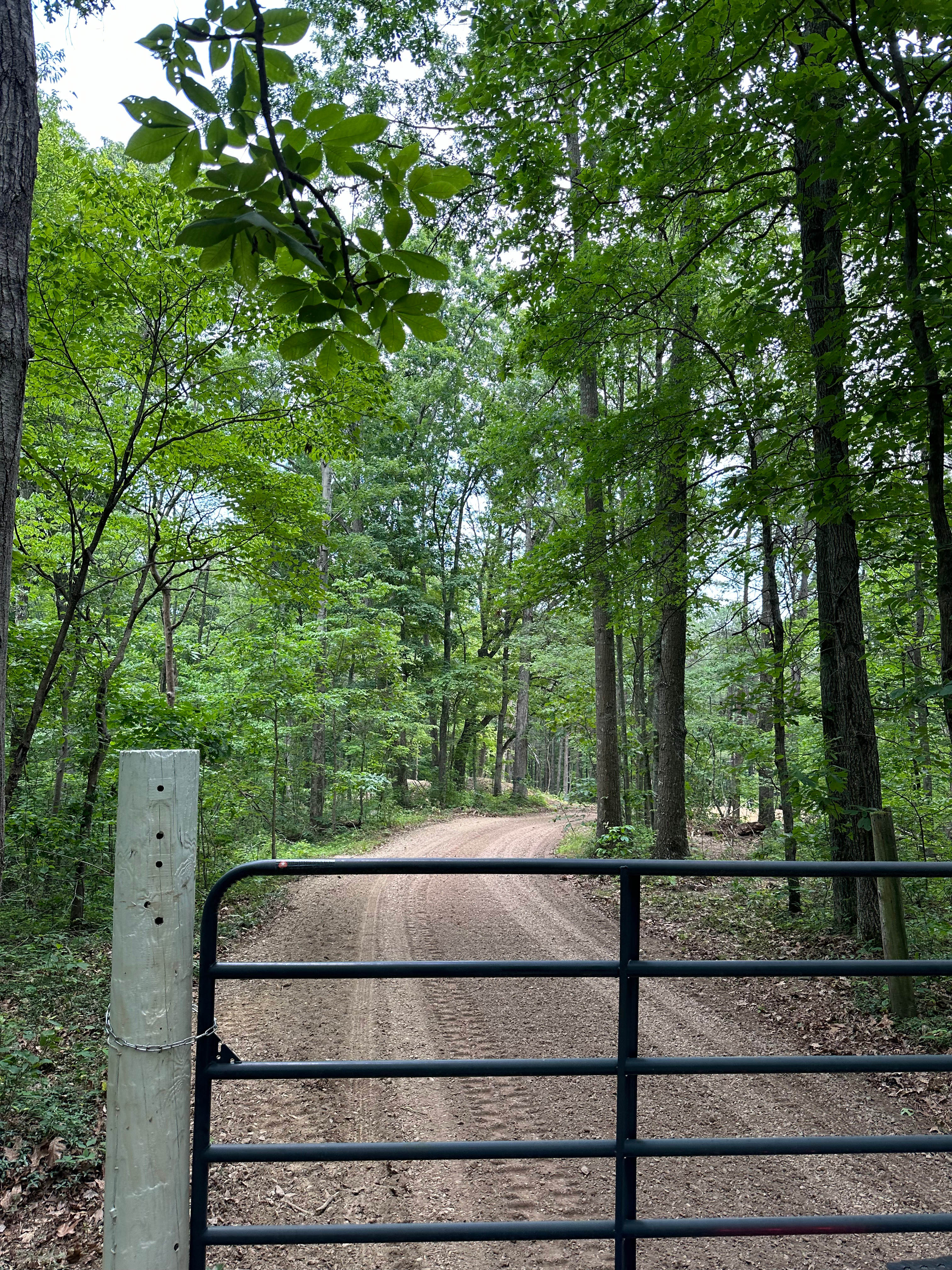 Hawk Falls - Main Site