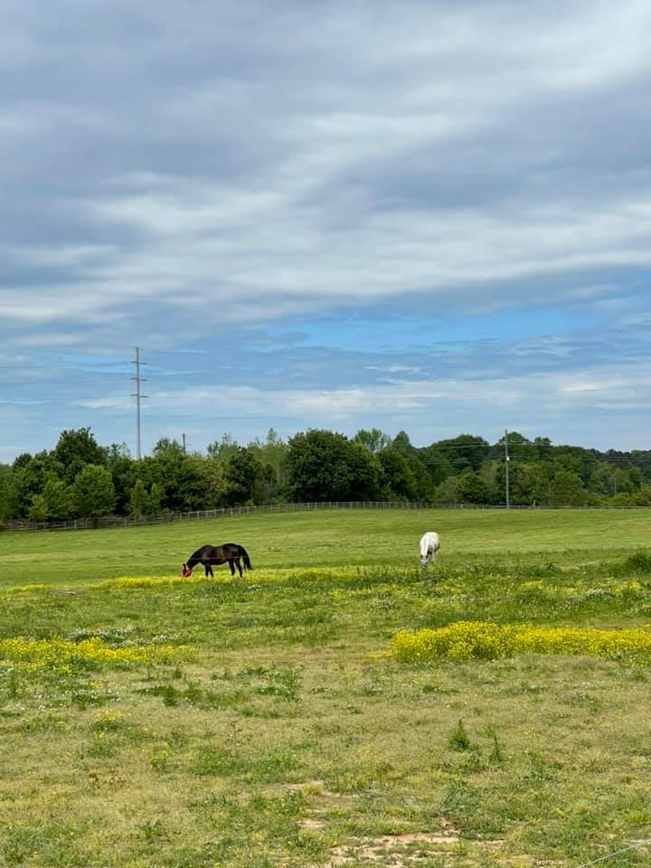 Liberty Stables Private Escape