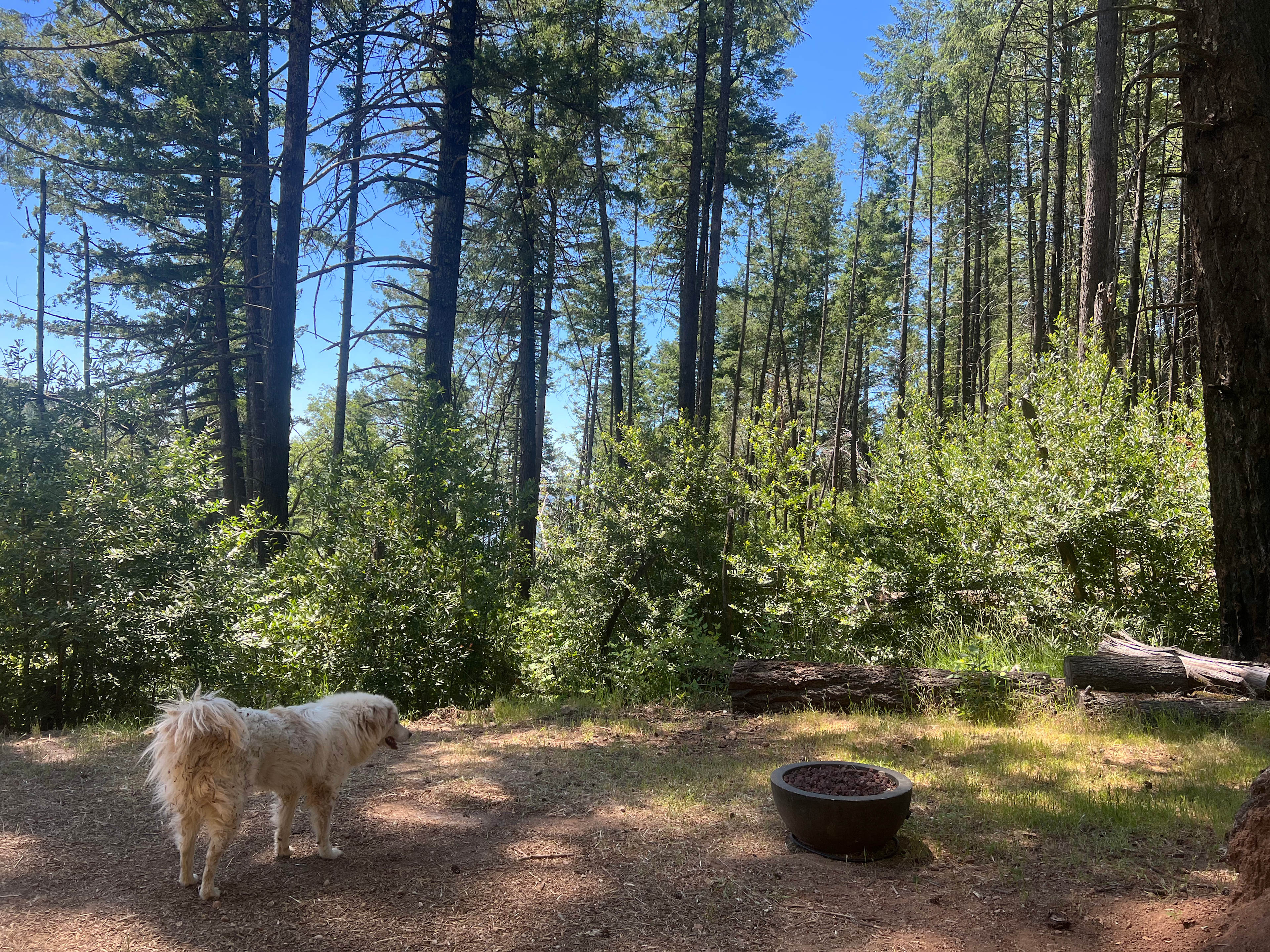 Moon Ridge Ranch