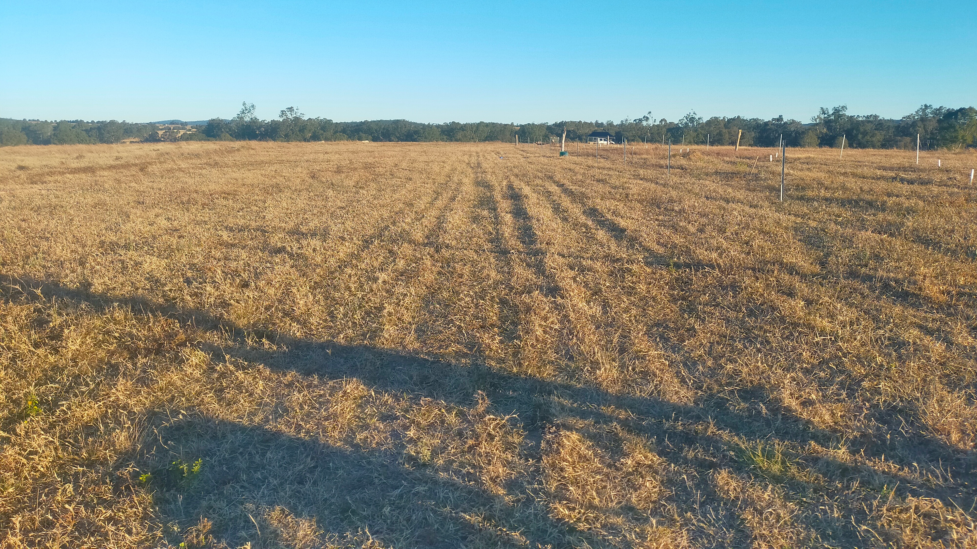 Montaban Farm Camping