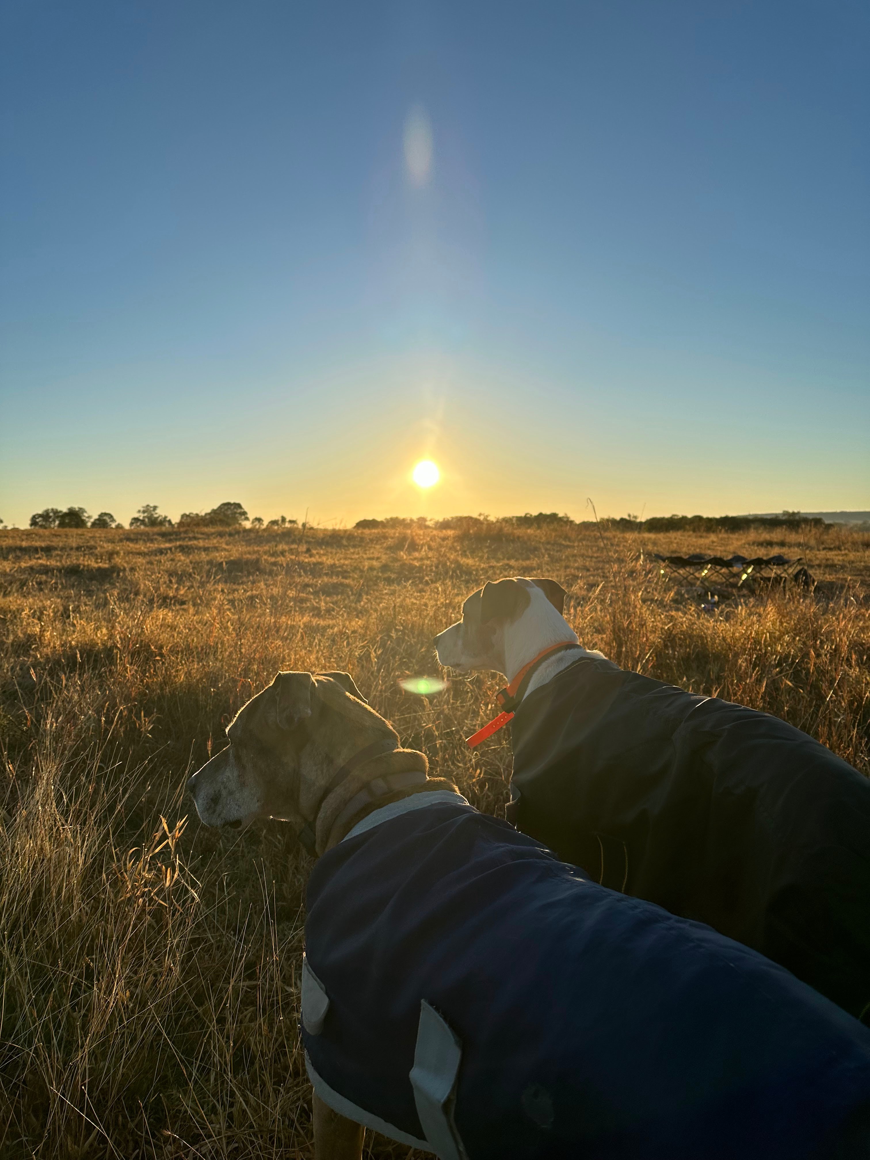 Montaban Farm Camping