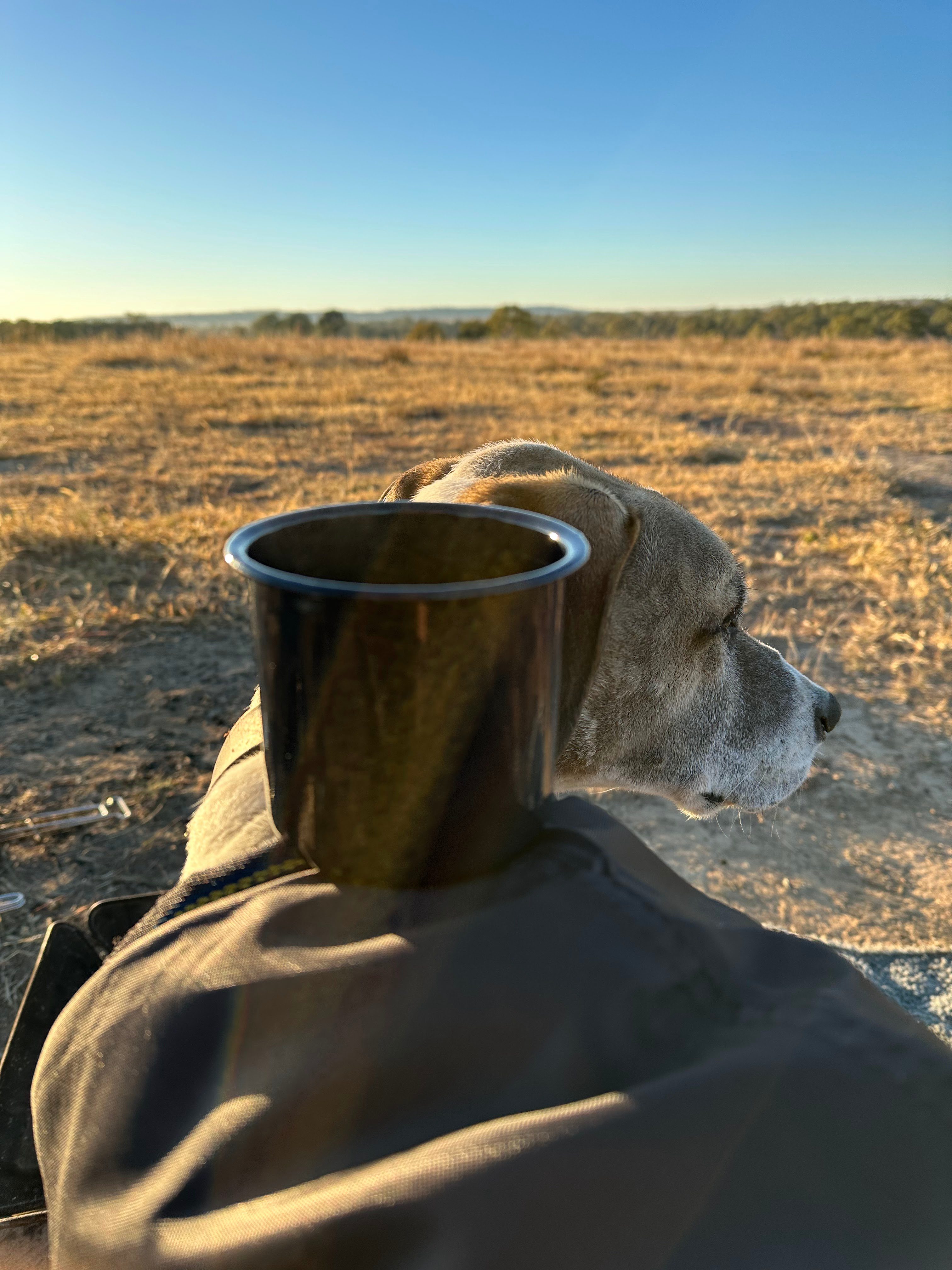 Montaban Farm Camping