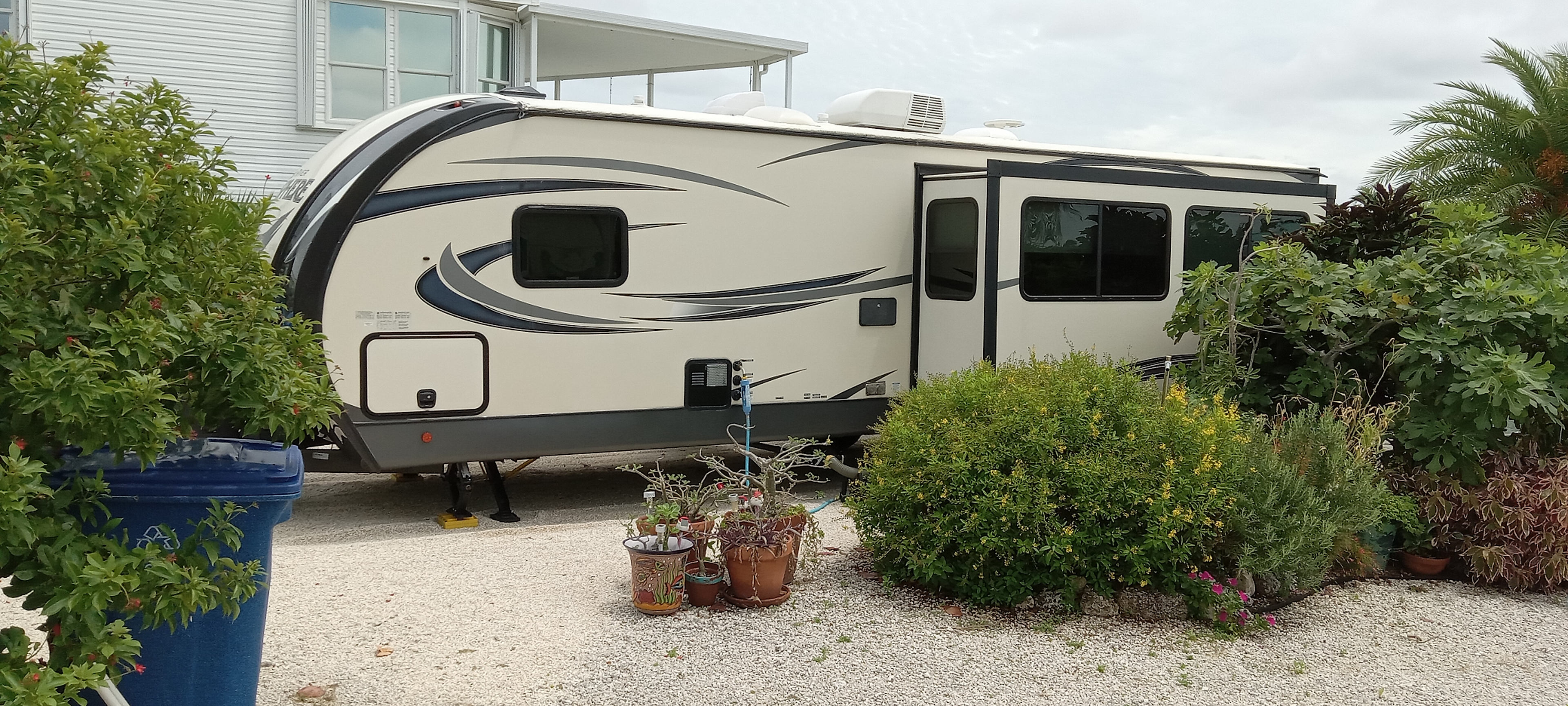 Little Palm By The Sea