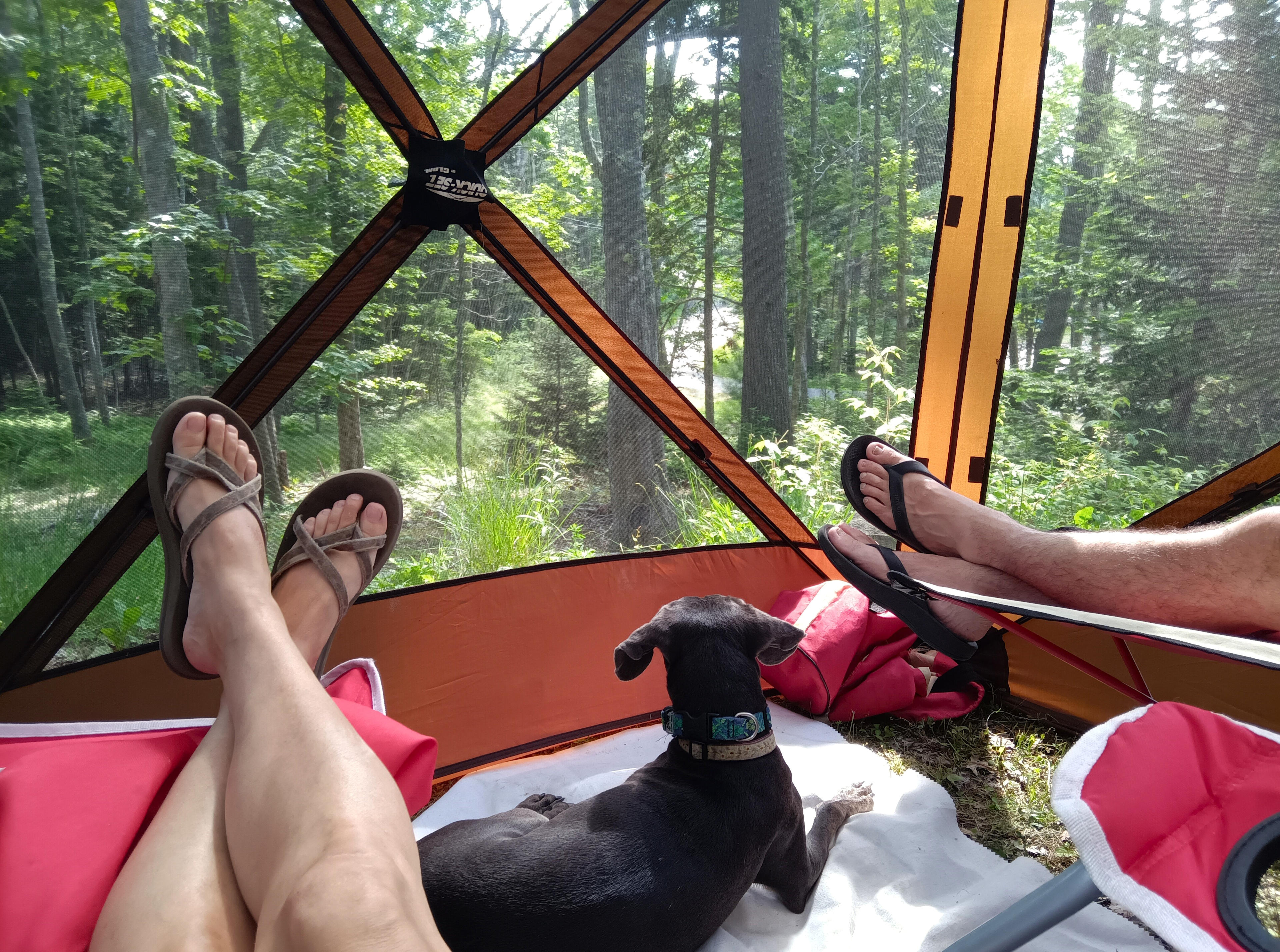 Camp Nepenthe
