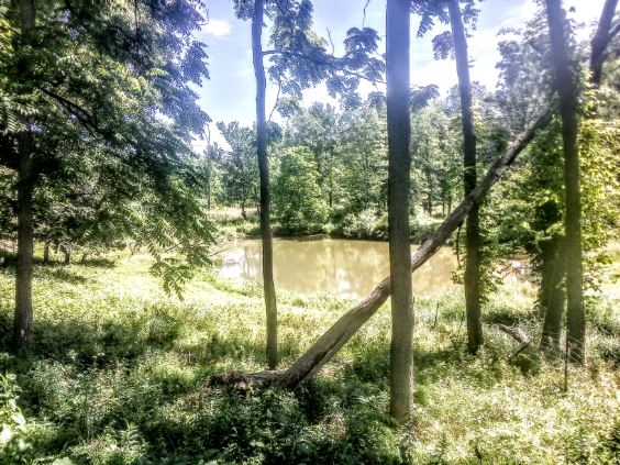 The Creekside at Goat Hill