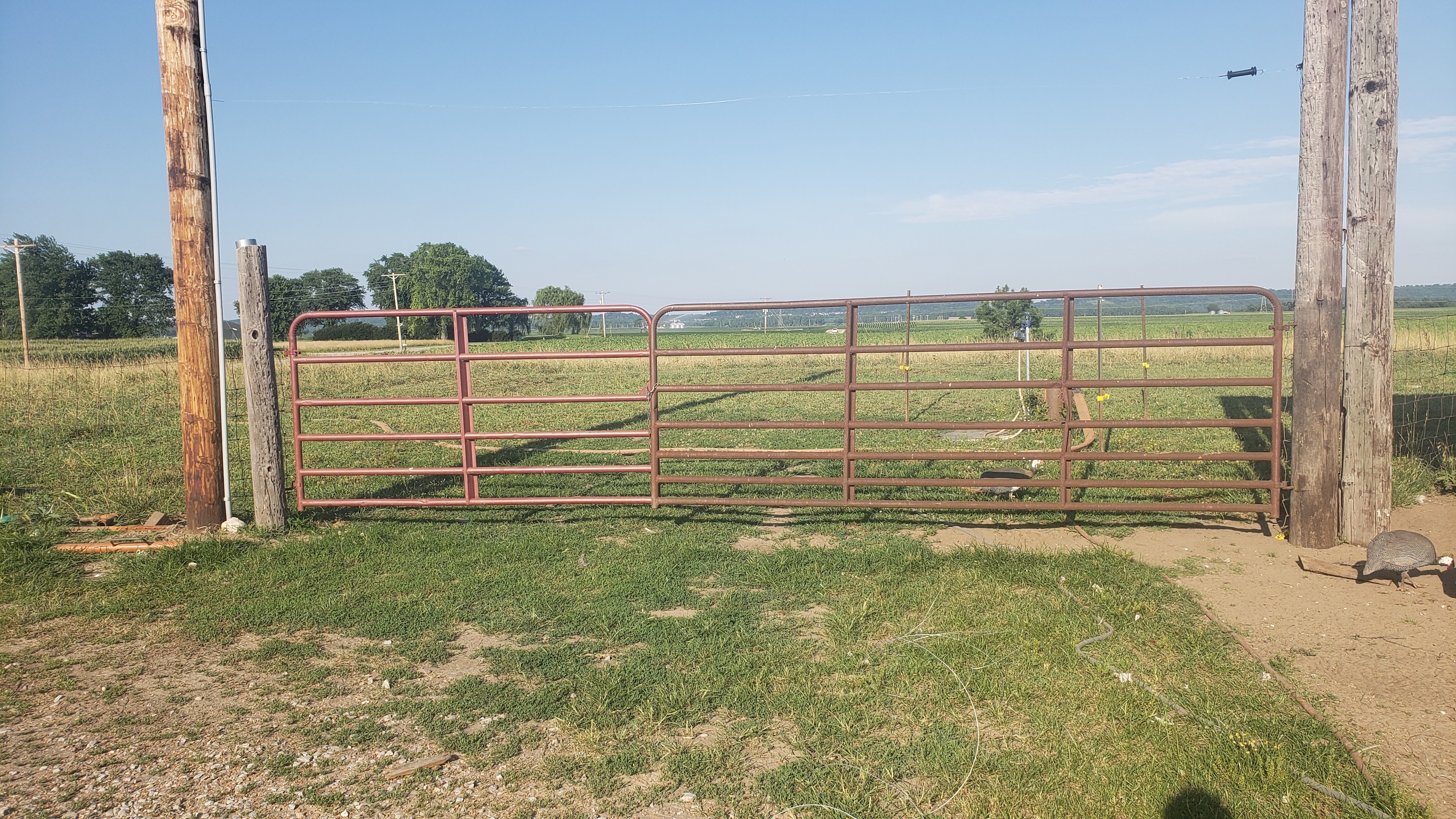 Enter into the pasture through a 20 foot wide gate.